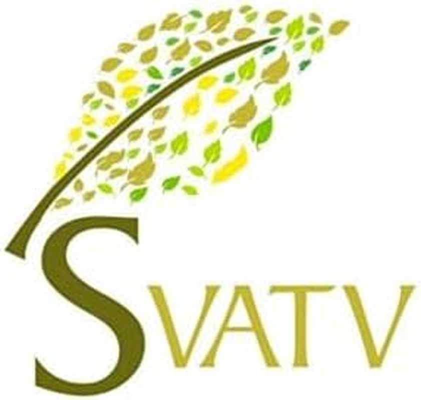 SVATV Khus Essential Oil - 10Ml image number 6