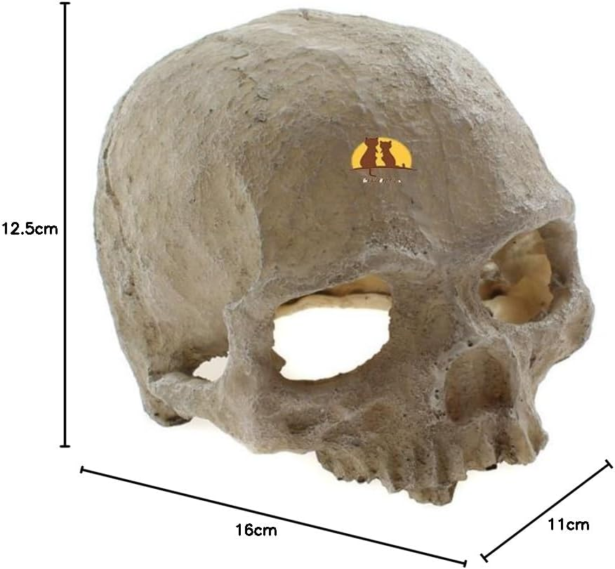 Emours Reptile Hideout Skull Vivarium Aquarium Fish Tank Resin Ornament Cave Decoration image number 1