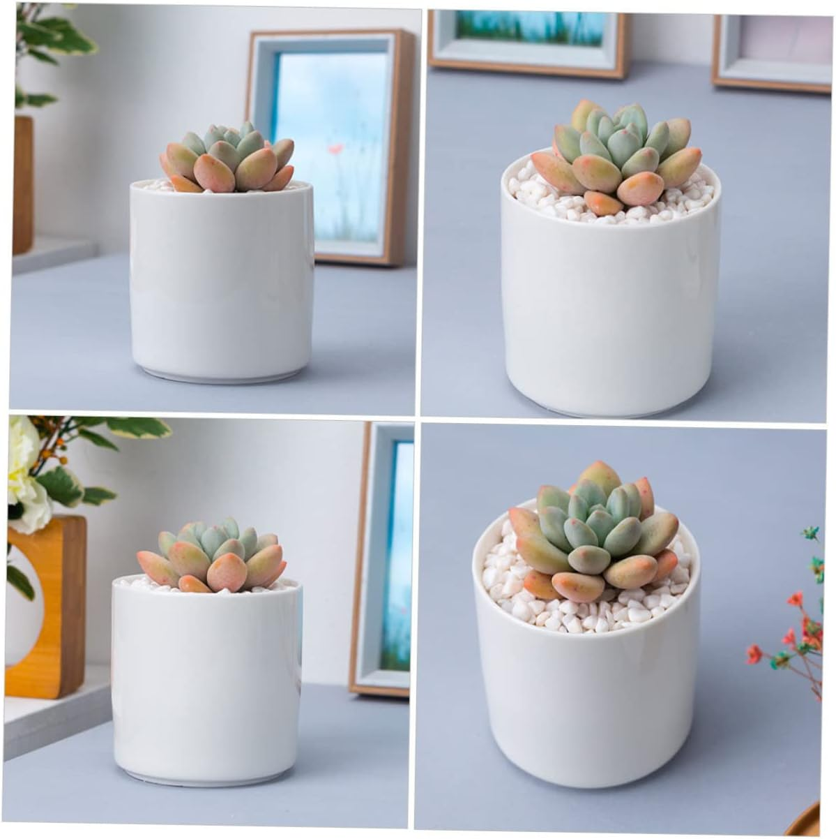 2Pcs Ceramic Flower Pot round Succulent Plant Container for Home Office Decor Elegant Desktop Planter for Small Spaces for Succulents Indoor Plants image number 2