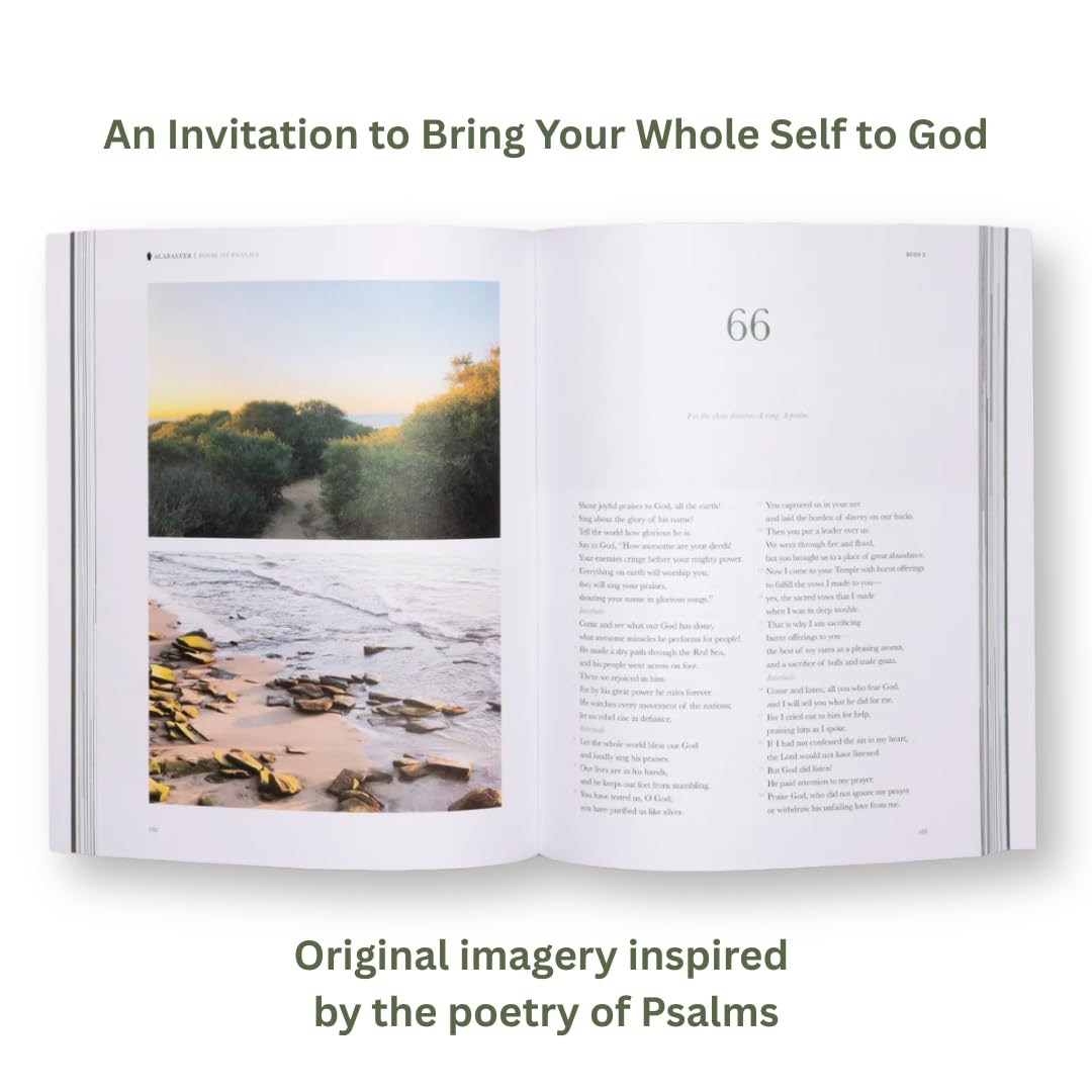 Book of Psalms (Sc, Nlt) image number 3
