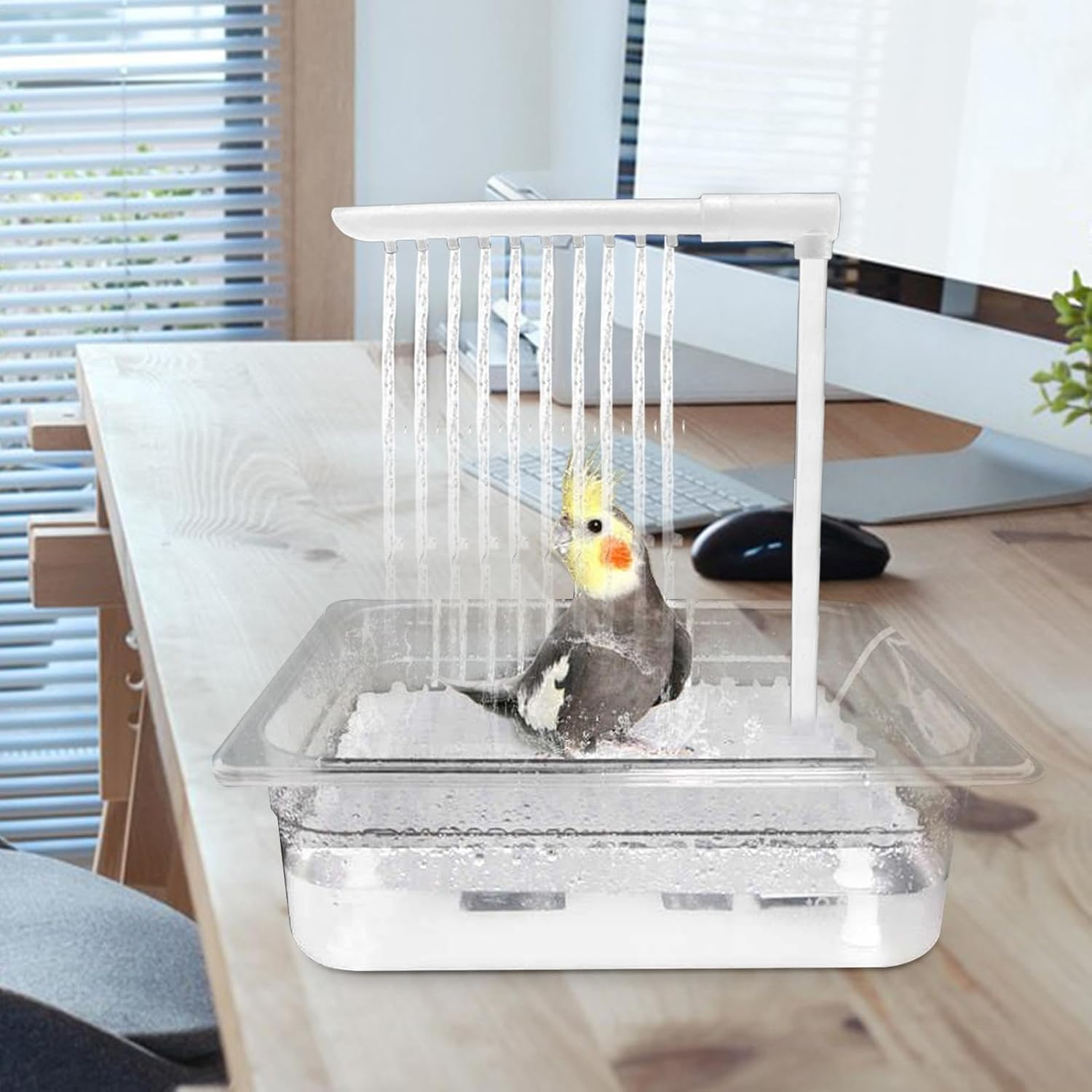 Parrot Shower Accessories,Bird Bath Shower Head with Running Water | Automatic Parakeet Bathing Accessories, Pet Pool Toy for Lovebirds, Cockatiels image number 5