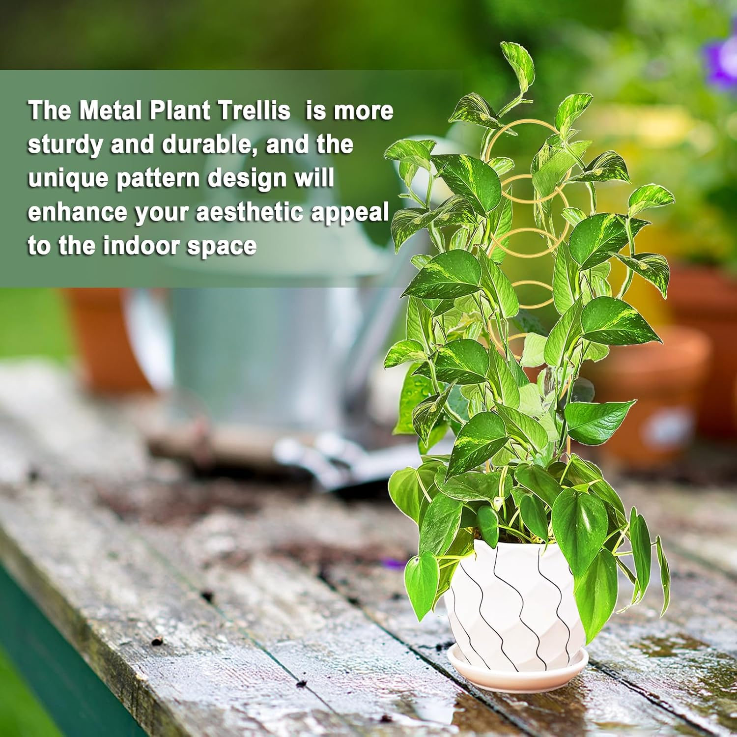 17.5 Inch Indoor Plant Trellis for Climbing Plants,Metal Trellis,Small Garden Trellis for Potted Plants,Plant Stakes for Indoor Plants Accessories Hoya,Flower,Plant Support (Golden-Metal) image number 5