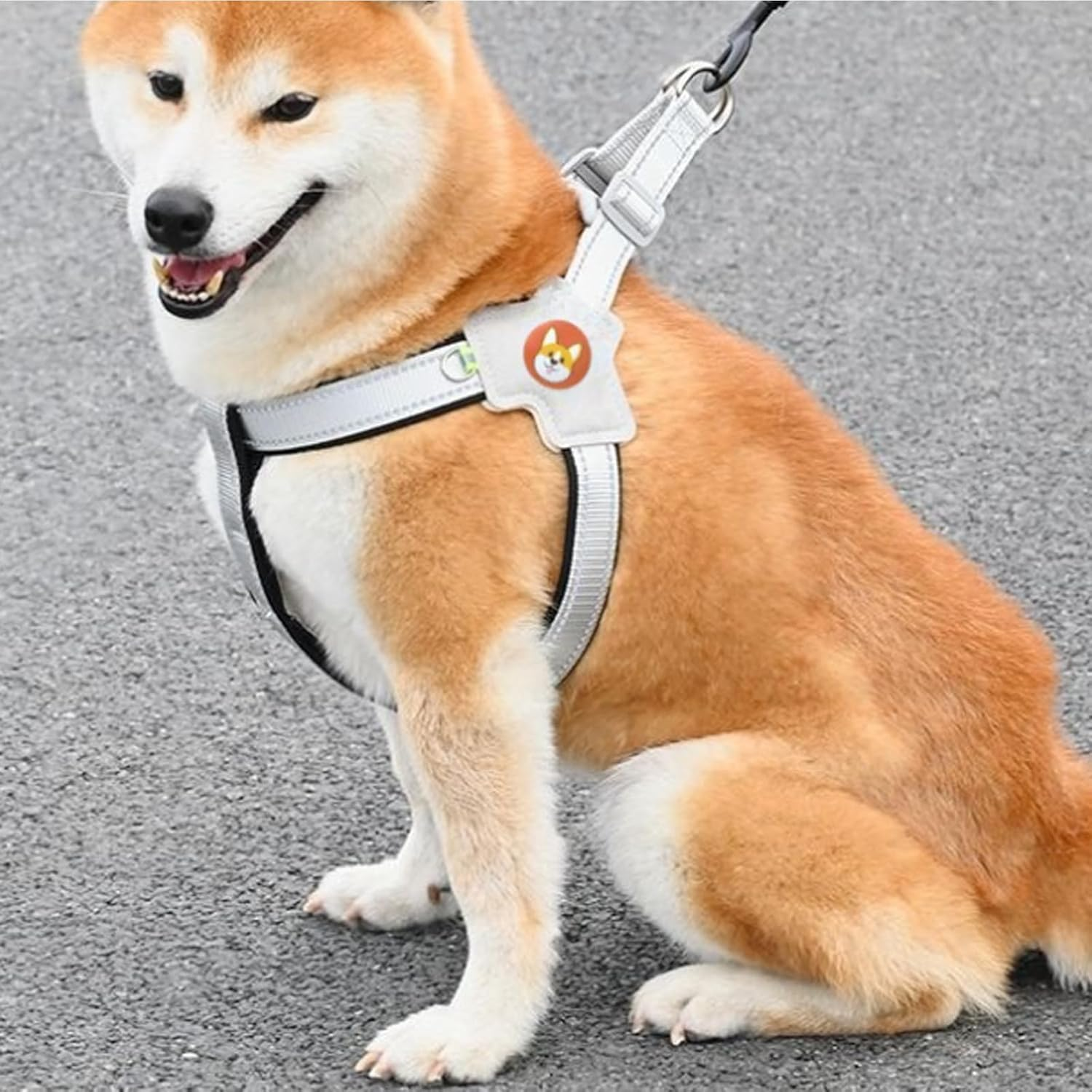 Adjustable Kitten Harness and Lead Set with Reflective Strips, Escape Proof Puppy Kitten Vest Harnesses, Cat Vest Harness and Lead Sets, for Small Medium Cats Pets Outdoor Walking Escape Proof (Black) image number 1