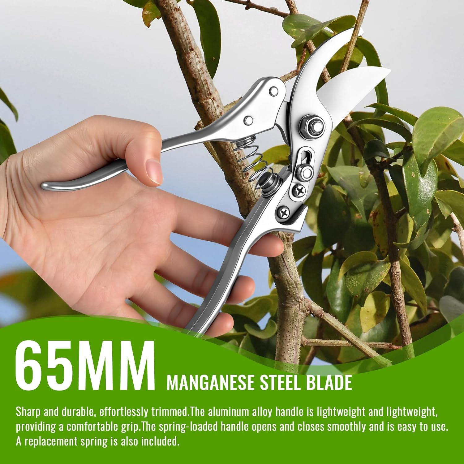 8Inch Secateurs, Pruning Shears of Sharp Precision-Ground, Premium Quality Gardening Tools Safety Lock, Gardening Clippers Hand Pruners Garden Trimmers for Plants image number 5