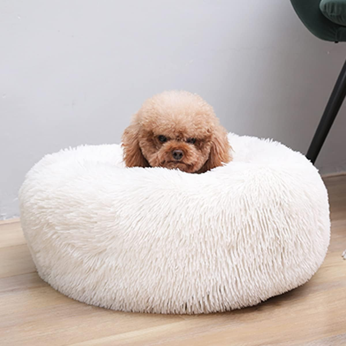 Calming Dog Bed & Cat Bed, Warming Cozy Soft Dog round Bed, Fluffy Faux Fur Plush Dog Cat Cushion Bed for Small Medium Dogs and Cats，Diameter16In image number 7