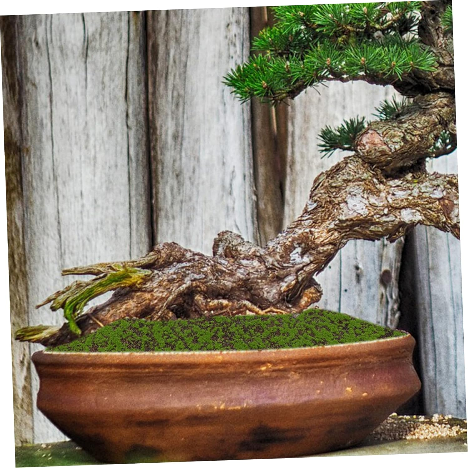 HOOTNEE Artificial Moss Fake Grass Micro Landscape Accessory Realistic Turf for Fairy Garden Decor image number 3