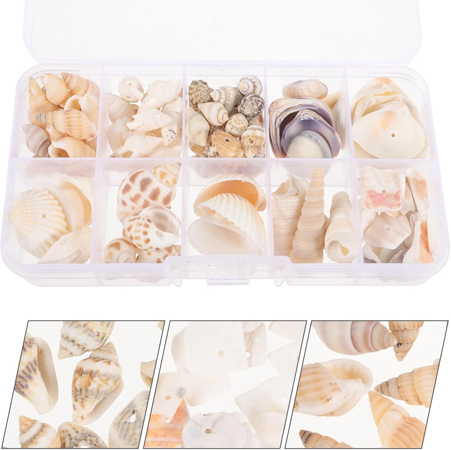 SOLUSTRE 1 Box Natural Tiny Shells Small Sea Shells Decorative Conch Miniature Seashells Decors for DIY Bottle Ornament Wall Art Beach Party Decor Fish Tank Vase Filler image number 3