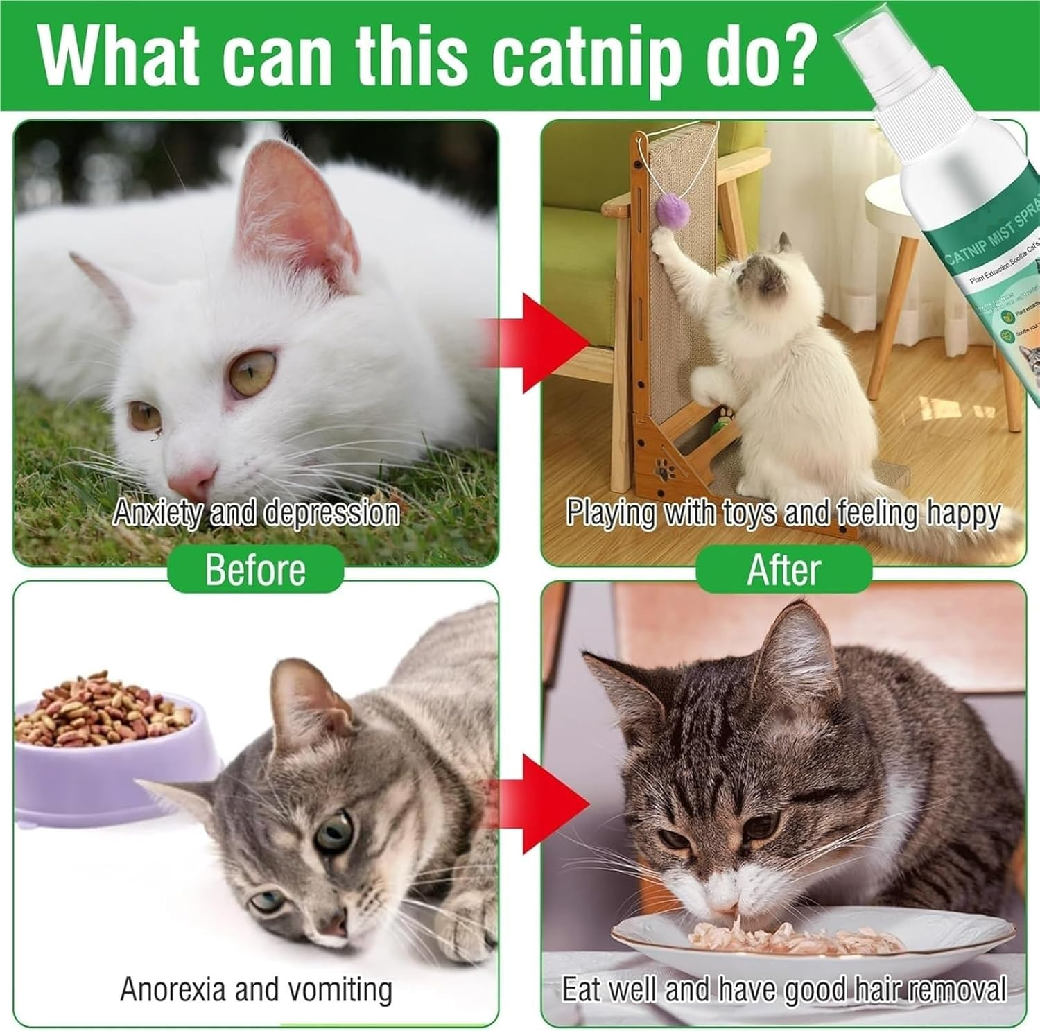 Catnip Spray, Relieves Stress and Calms, Outdoor Training Spray, Helps Kittens Feel Happy and Energized. image number 4