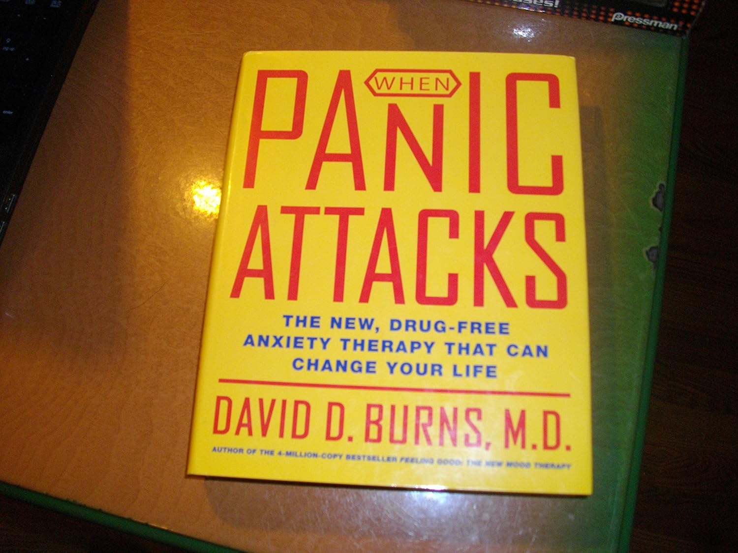 When Panic Attacks: the New, Drug-Free Anxiety Therapy That Can Change Your Life