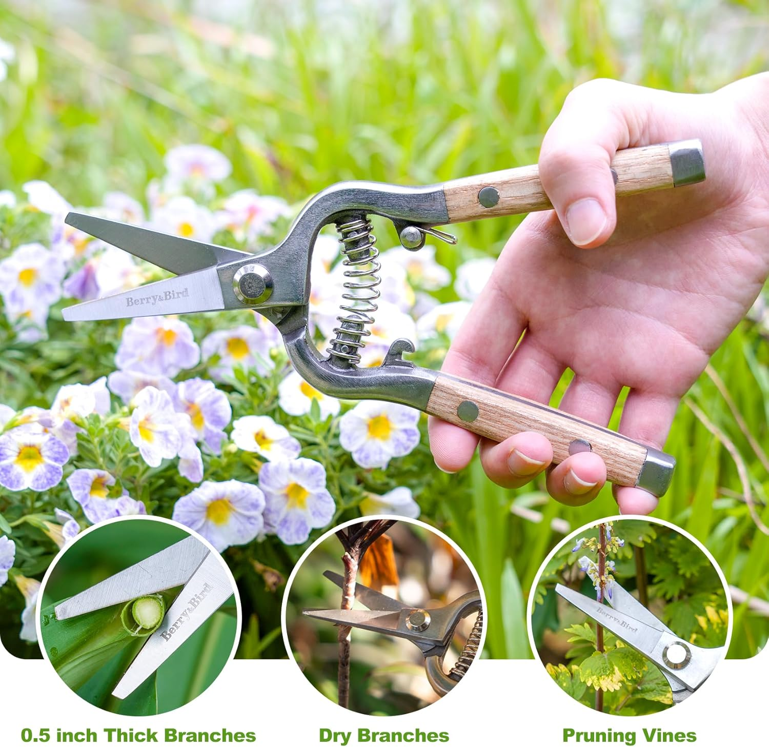 Berry&Bird Straight Pruning Shears with Stainless Steel Blades Garden Hand Pruner 8'' Scissors with Wooden Handle Clippers for Gardening Trimming Cutting Bonsai