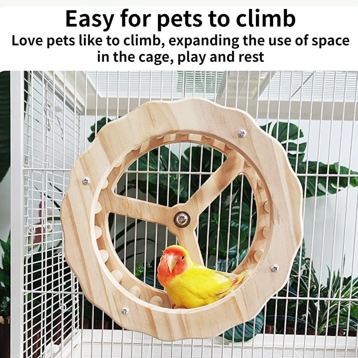 AIMALL Wooden Parrot Exercise Wheel Toy with Silent Bearings and Durable Design for Climbing and Play, Bird Cage Accessory image number 2