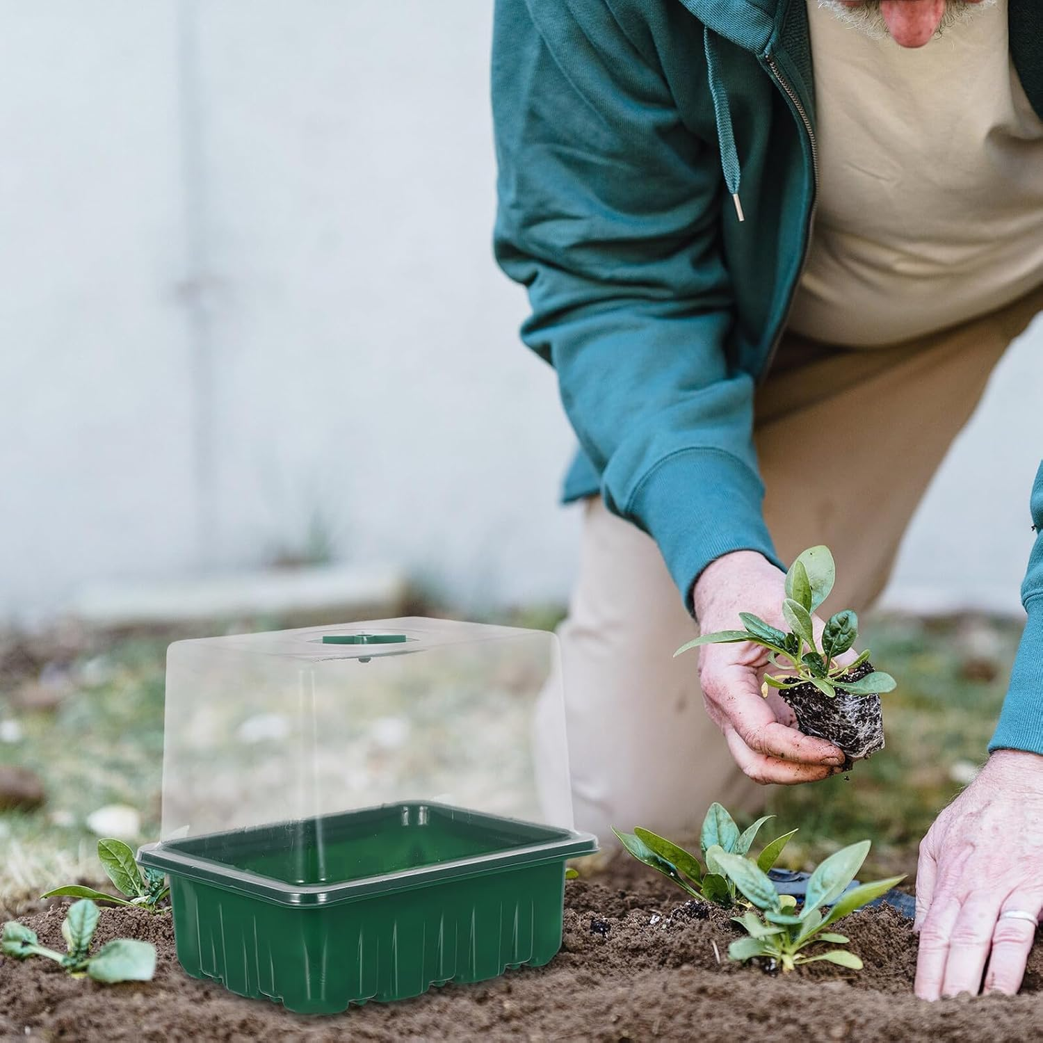 FUNOMOCYA Breathable Plastic Seedling Tray Kit 6-Cell Raised Green Propagation Box with Lid 10Pcs Seed Starter Trays with Markers for Indoor Gardening and Vegetable Germination image number 6