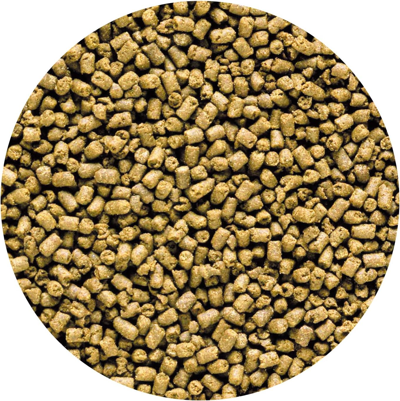 Hikari 042220 Carnivore Medium Sinking Pellets Marine Fish Food, One Size image number 5