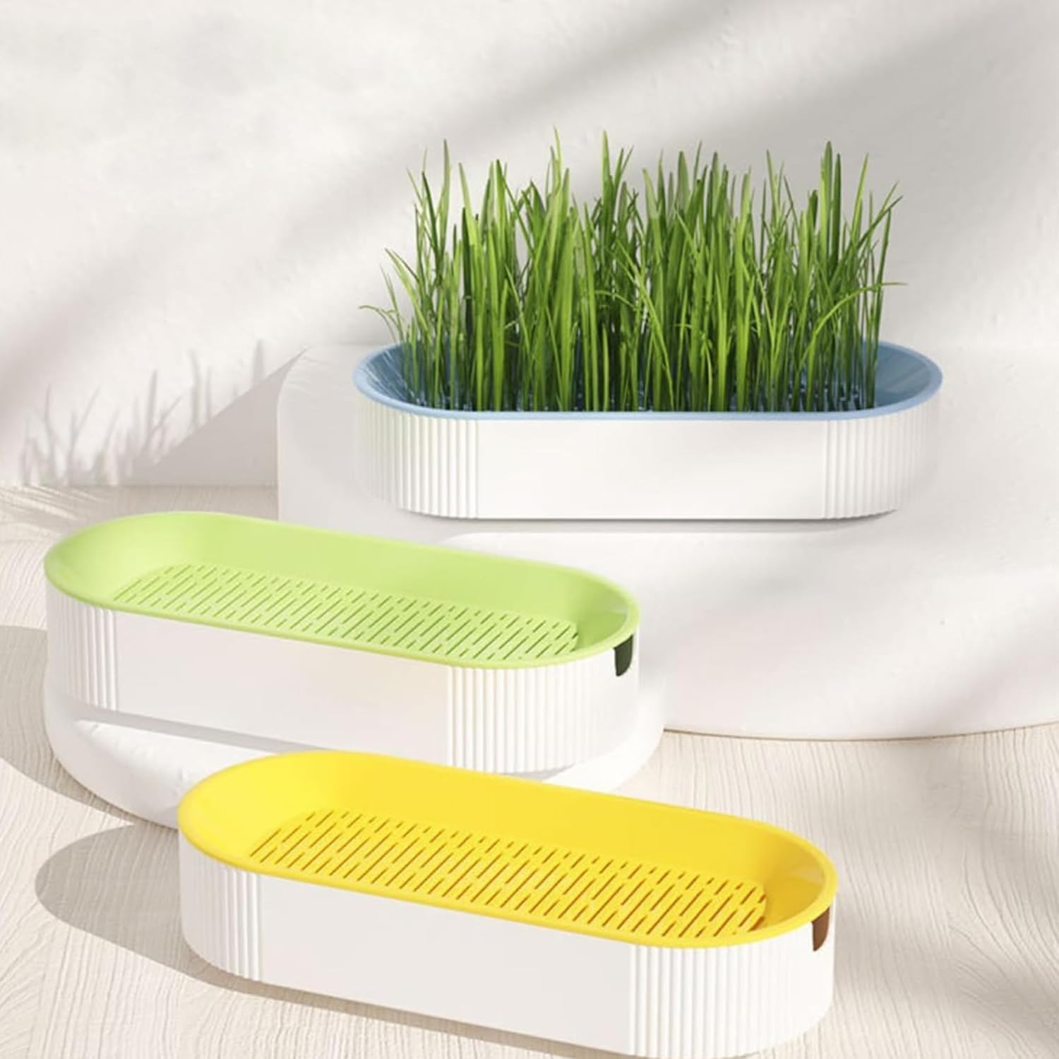 3-Pack Hydroponic Cat Grass Planter Kit - Soil-Free Wheatgrass Growing Trays for Healthy Kittens