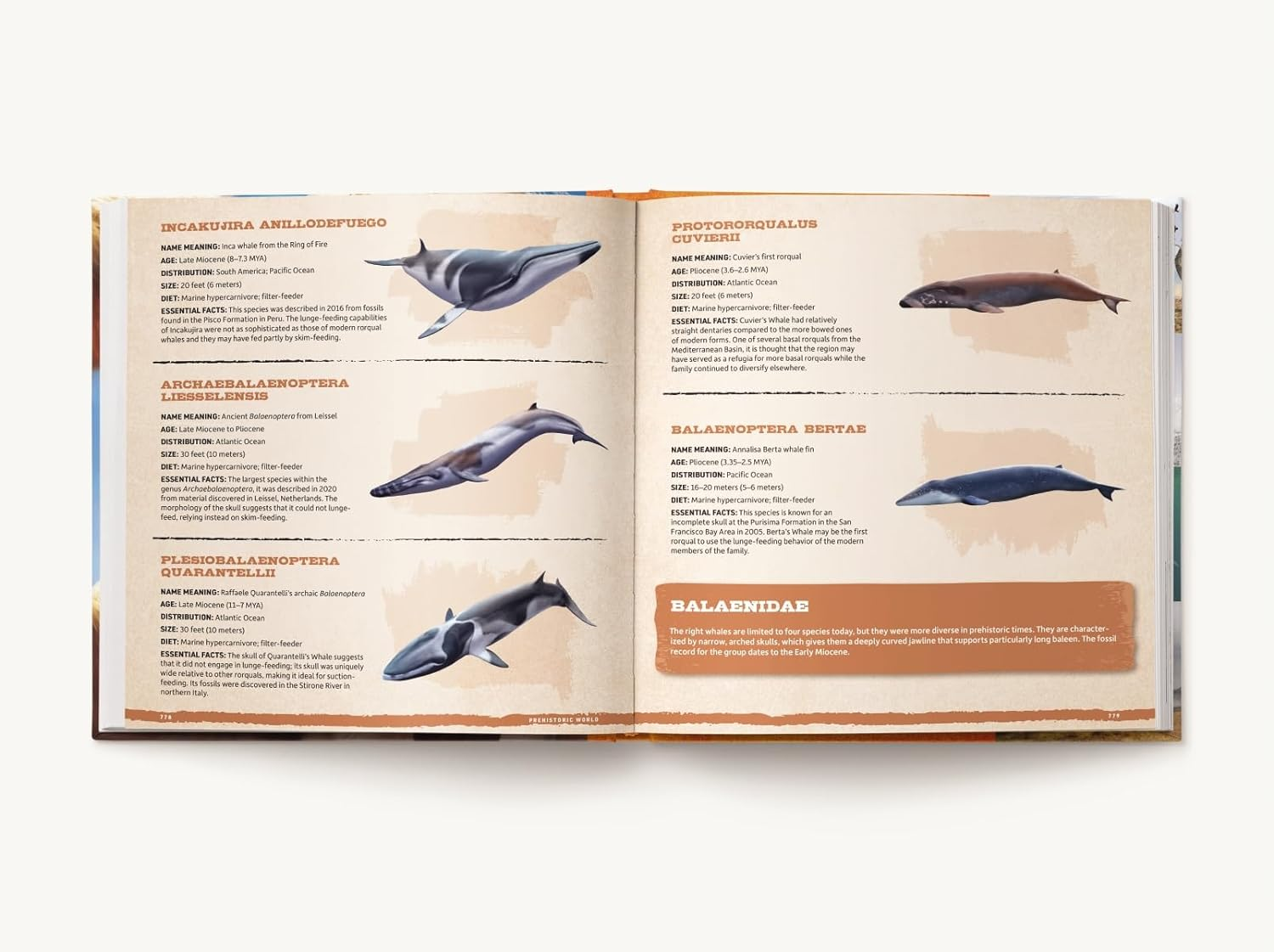 Prehistoric World: over 1,200 Incredible Mammals & Discoveries from the Mesozoic & Cenozoic image number 3