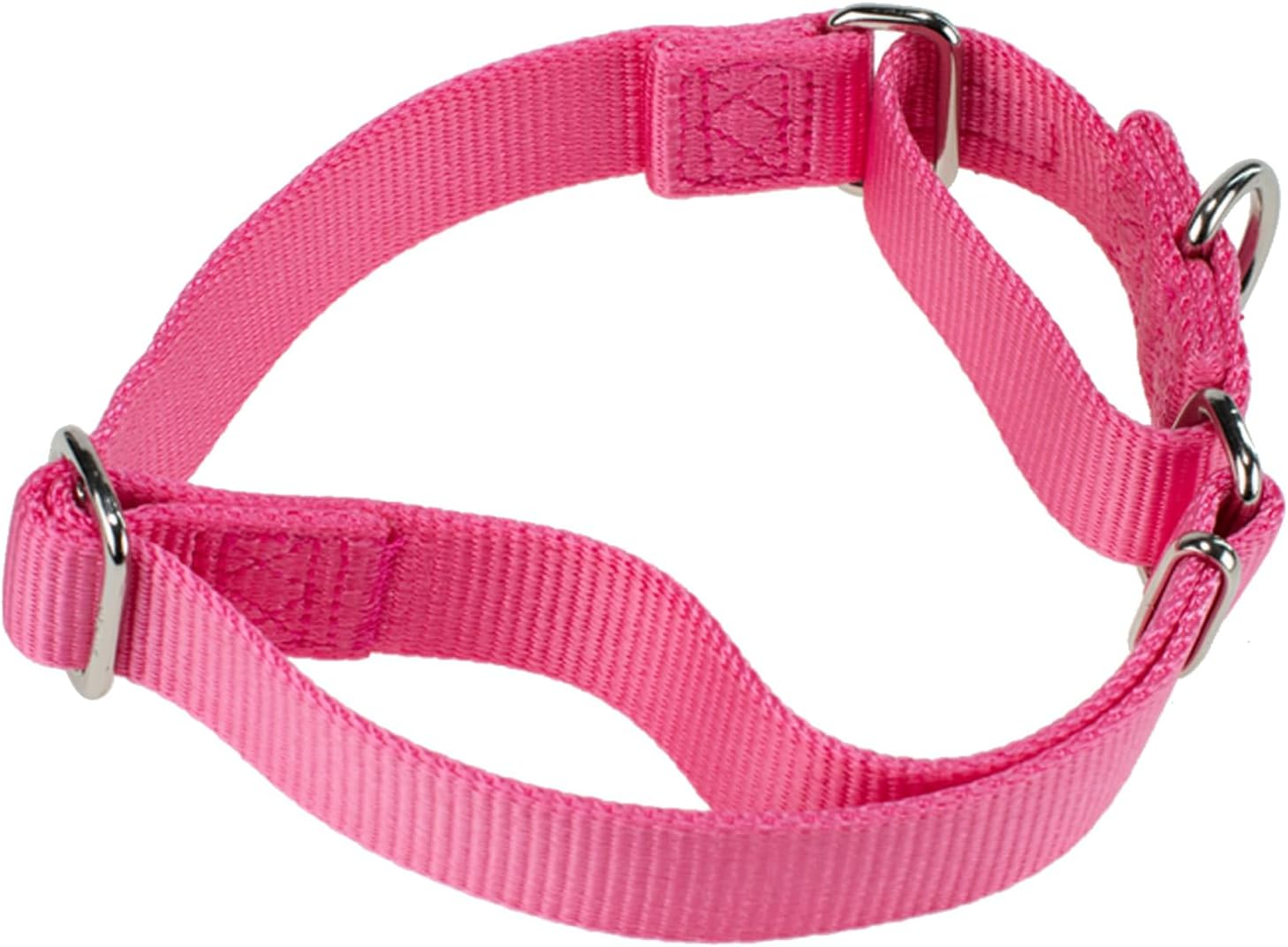 Hyhug Improved Design Nylon Webbing, Cold Water Washing Does Not Fade, Not Polluting Dog Hair, Wear Resistant and Not Prone to Fuzzing. No Slip Training Martingale Collar. (Large, Candy Pink)