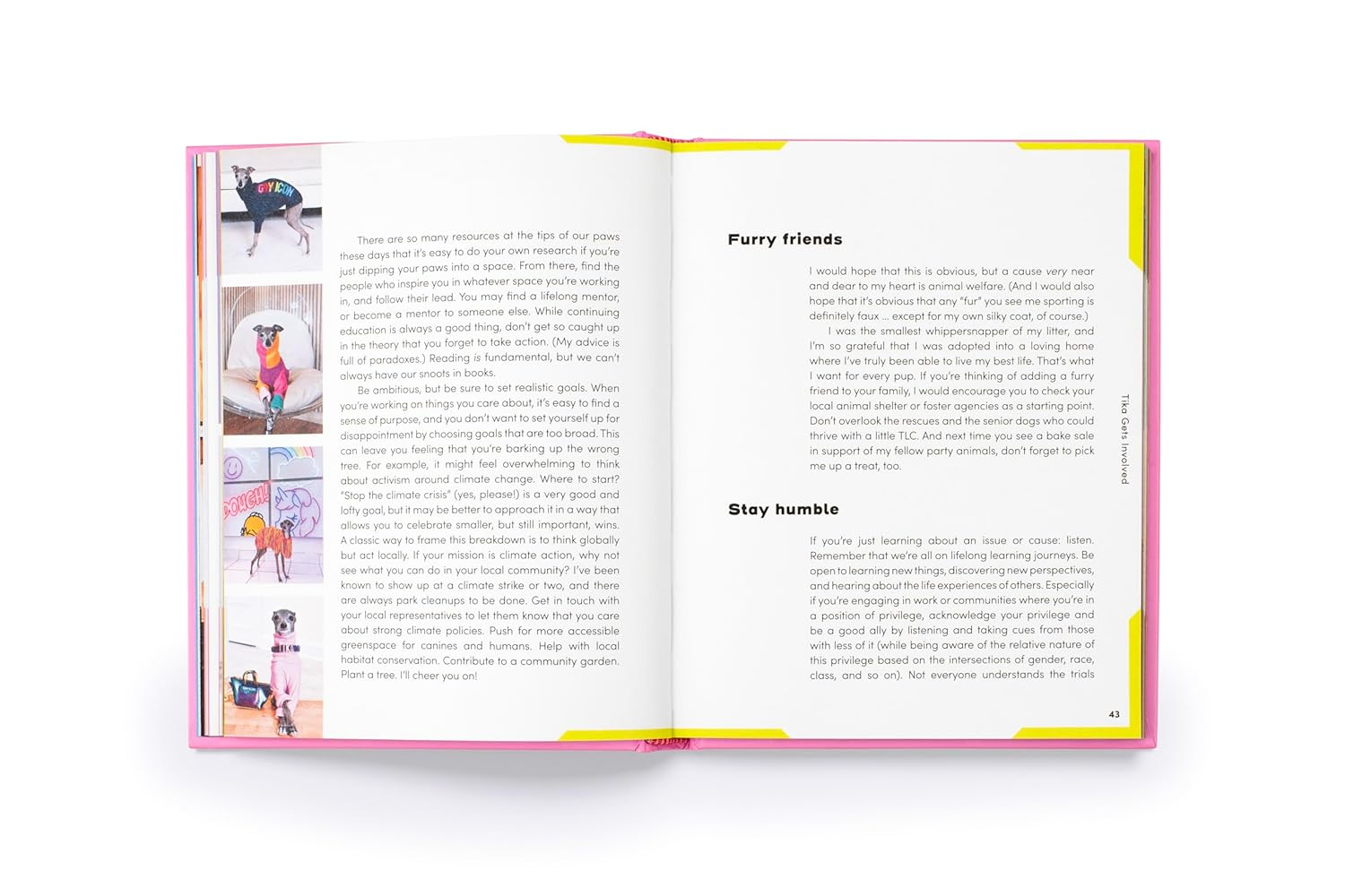 Tika the Iggy: Lessons in Life, Love, and Fashion image number 1