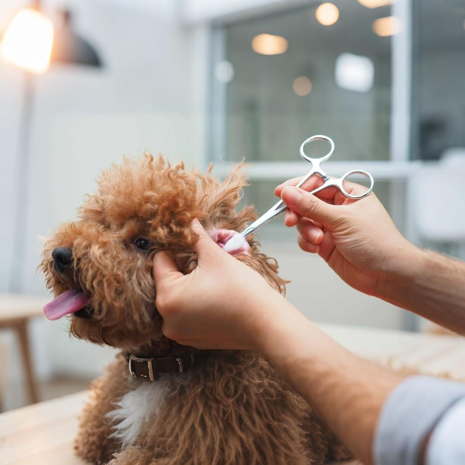 2 Pcs Locking Pliers Piercing Pliers, Self-Locking Fishing Forceps, Suturing Piercing Clamp with Powerful Serrated Jaw, Multipurpose Tweezers Pincers for DIY Crafting Pet Grooming (12.5Cm) image number 4