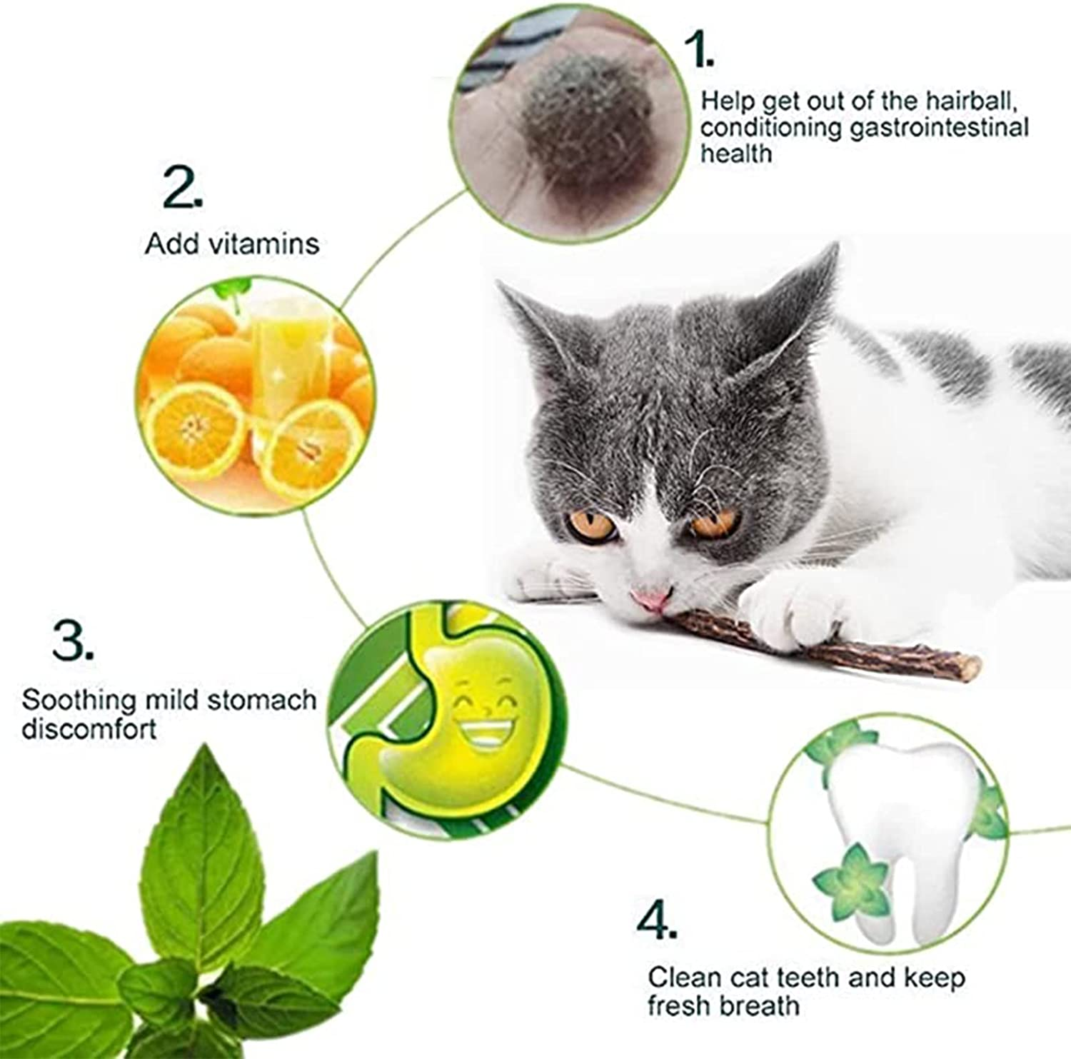 Ueerdand Organic Cat Chew Toys Natural Matatabi Silvervine Cat Teeth Cleaning Chew Sticks (50 Pcs) image number 2