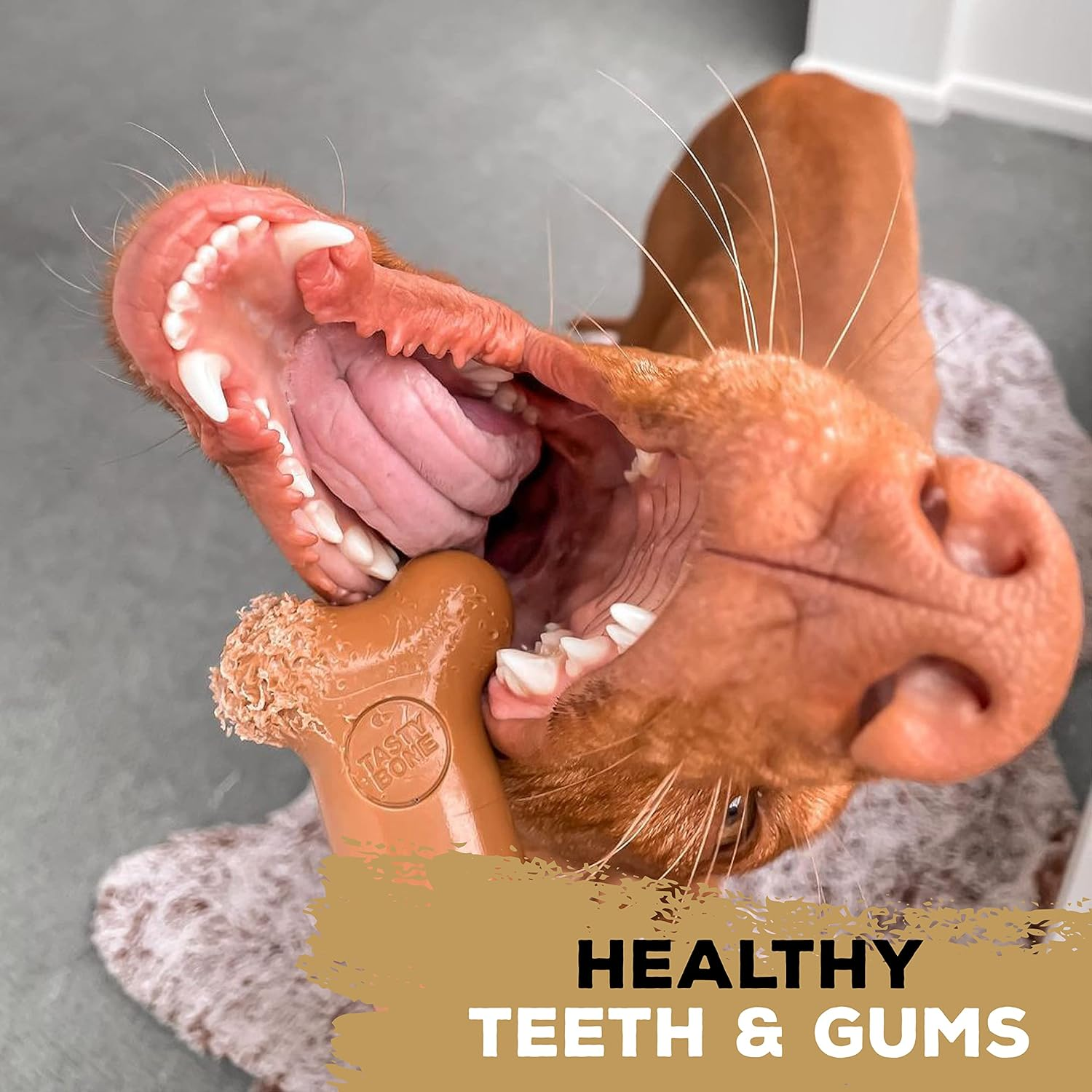 Tasty Bone Nylon Peanut Butter Dog Chew Toy Bone Large image number 1