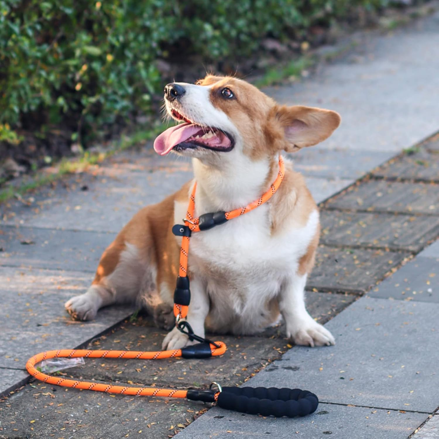 Dog Slip Collar, Reflective Nylon Martingale Chock Collar No-Pull P Collar with Sliding Stopper Training Dog Collar for Small Medium Large Dogs image number 2