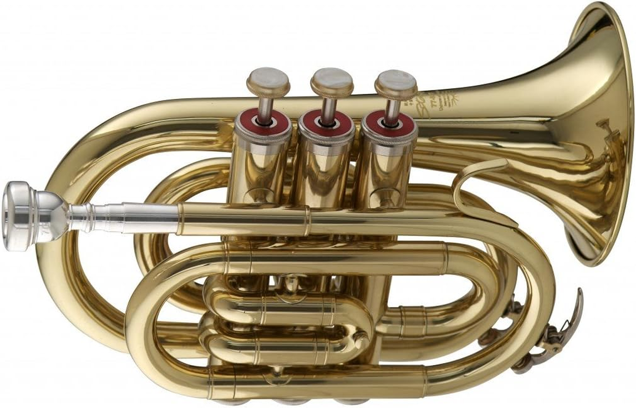 Stagg WS - TR245 Bb Pocket Trumpet with Case 6.00 X 3.00 X 8.00 Inches