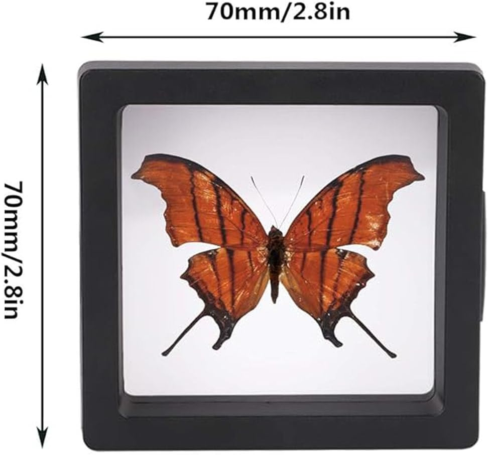 10Pcs 3D Floating Frames Display Holder Stands,Transparent Coin Display Stands,3D Floating Jewelry Frame,Challenge Coin Holder for Jewelry Antique Specimens (Black 2.75Inch) image number 1