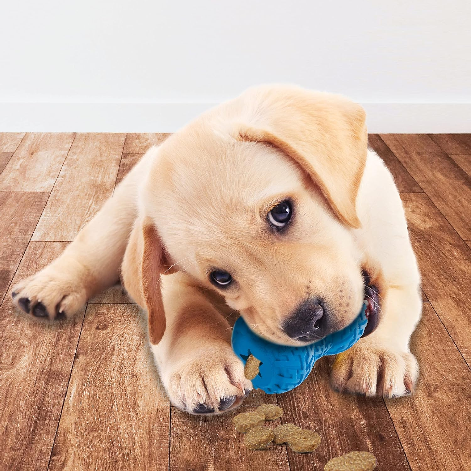 Nerf Dog Tire Feeder Dog Toy, Lightweight, Durable and Water Resistant, 4 Inches, for Medium/Large Breeds, Two Pack, Blue and Red image number 3