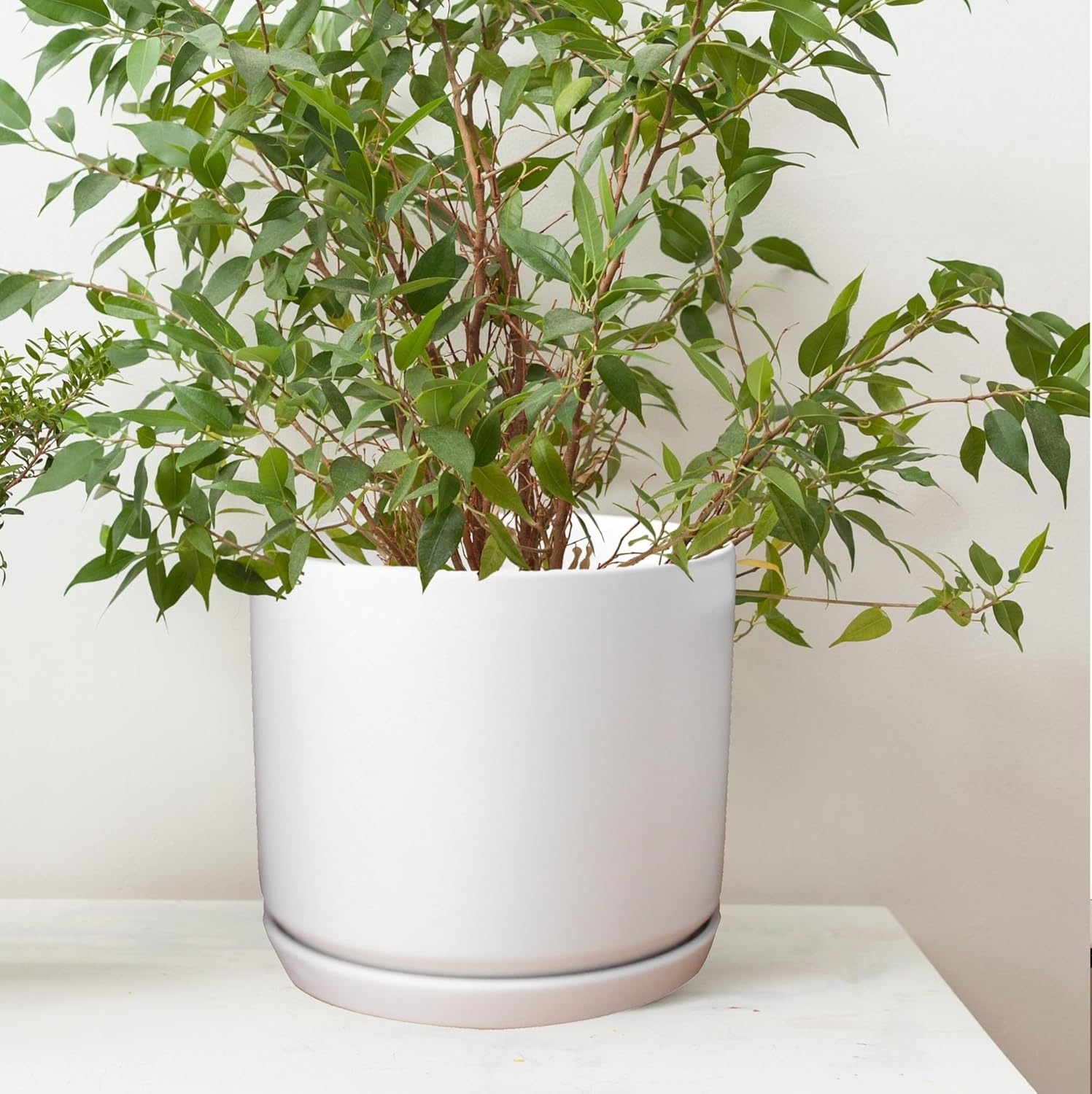 Matt White Pot with Saucer- 25Cm image number 4