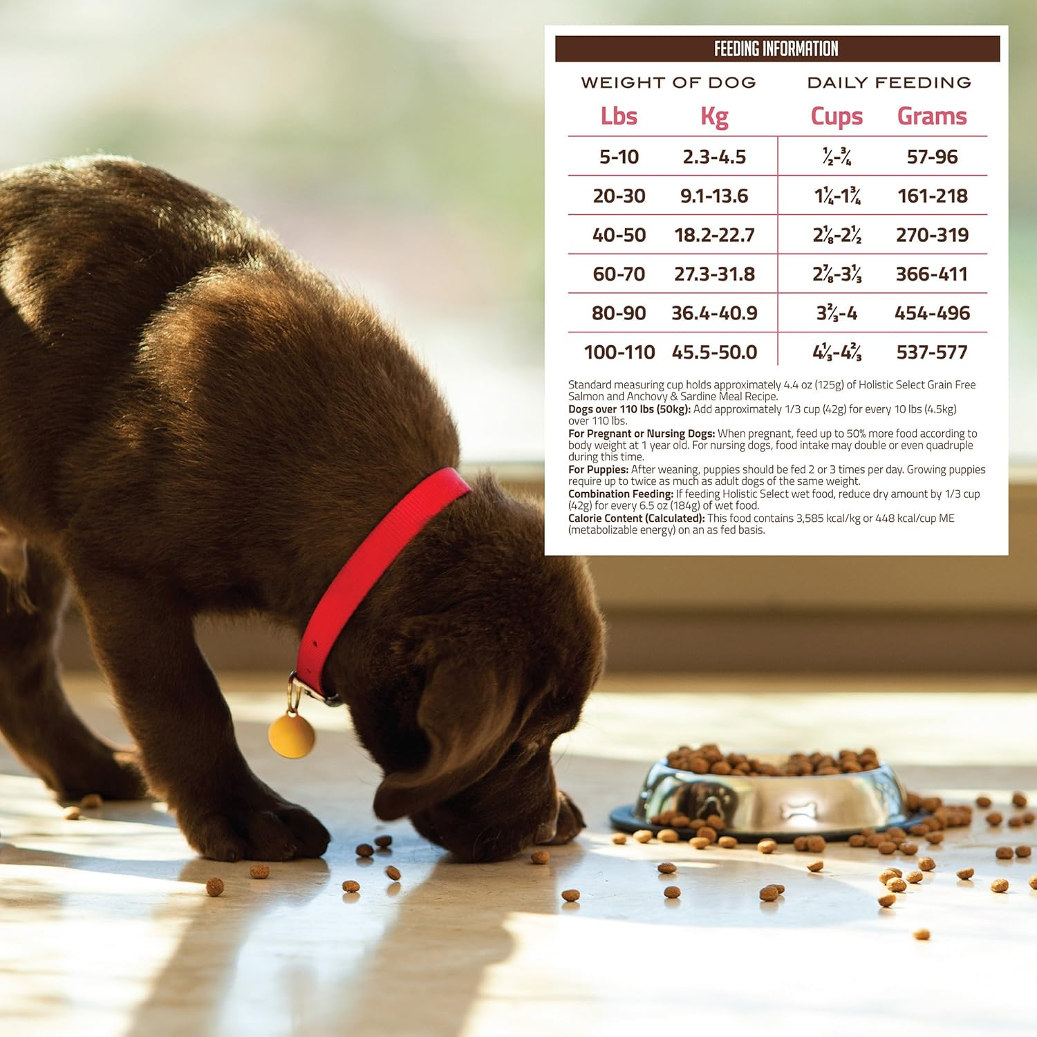 Holistic Select Natural Grain Free Dry Dog Food, Adult & Puppy Salmon, Anchovy & Sardine Recipe, 10.88Kg Bag image number 1