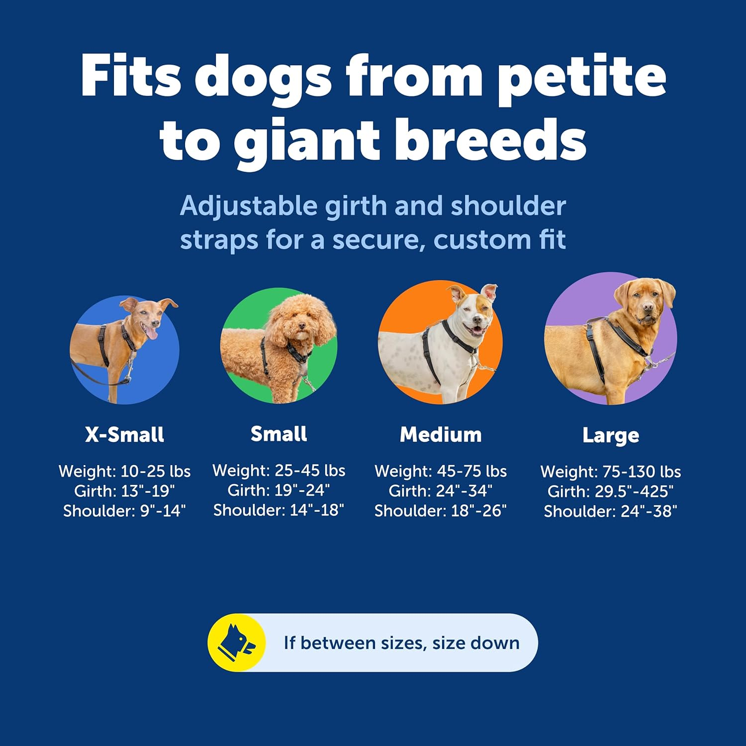 Petsafe 3 in 1 Dog Harness - No Pull Solution for Dogs - Reflective Dog Harness - Front D-Ring Clip Helps Stop Pulling - Comfortable Padded Straps - Top Handle Enhances Control - Black - Medium image number 6