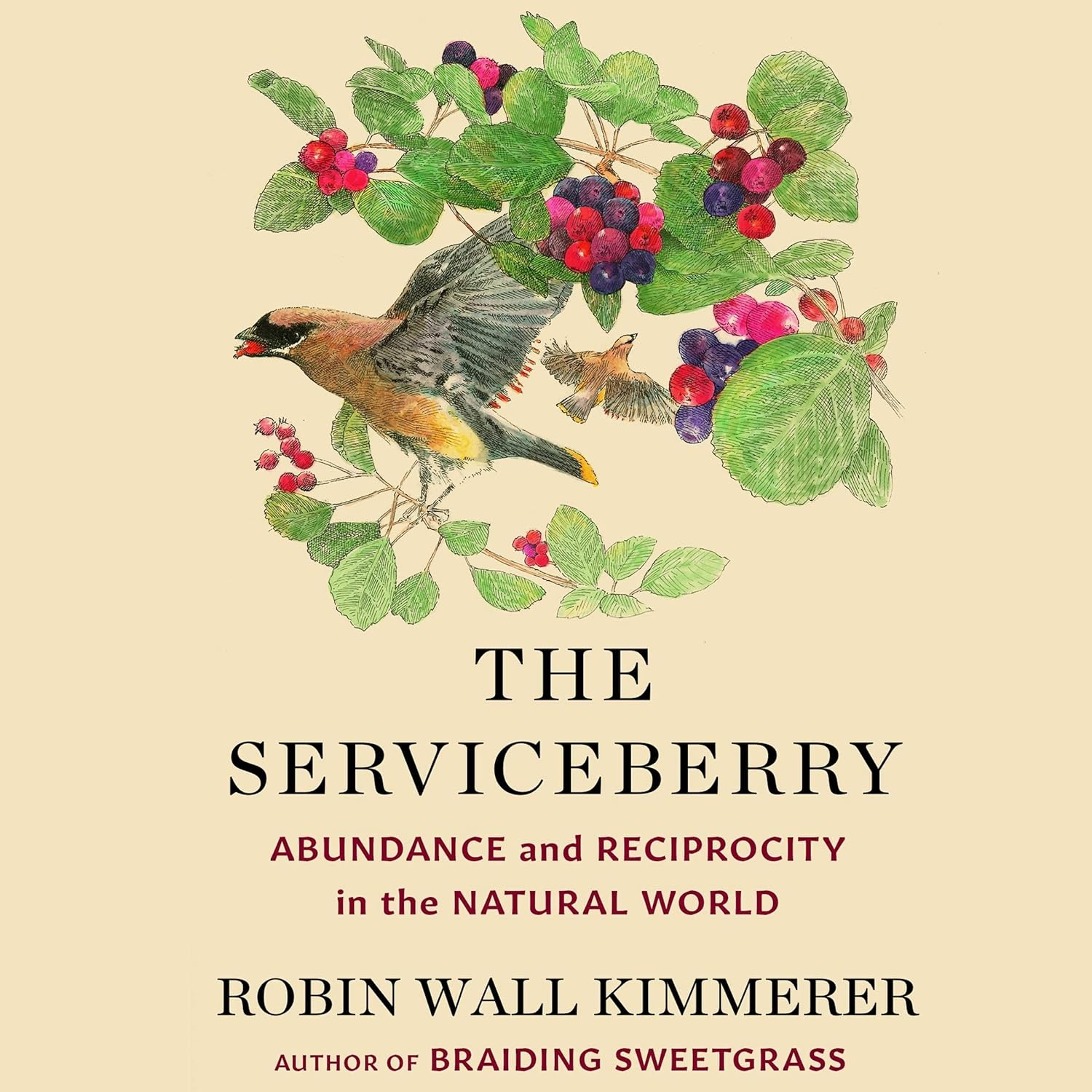 The Serviceberry: an Economy of Gifts and Abundance image number 1