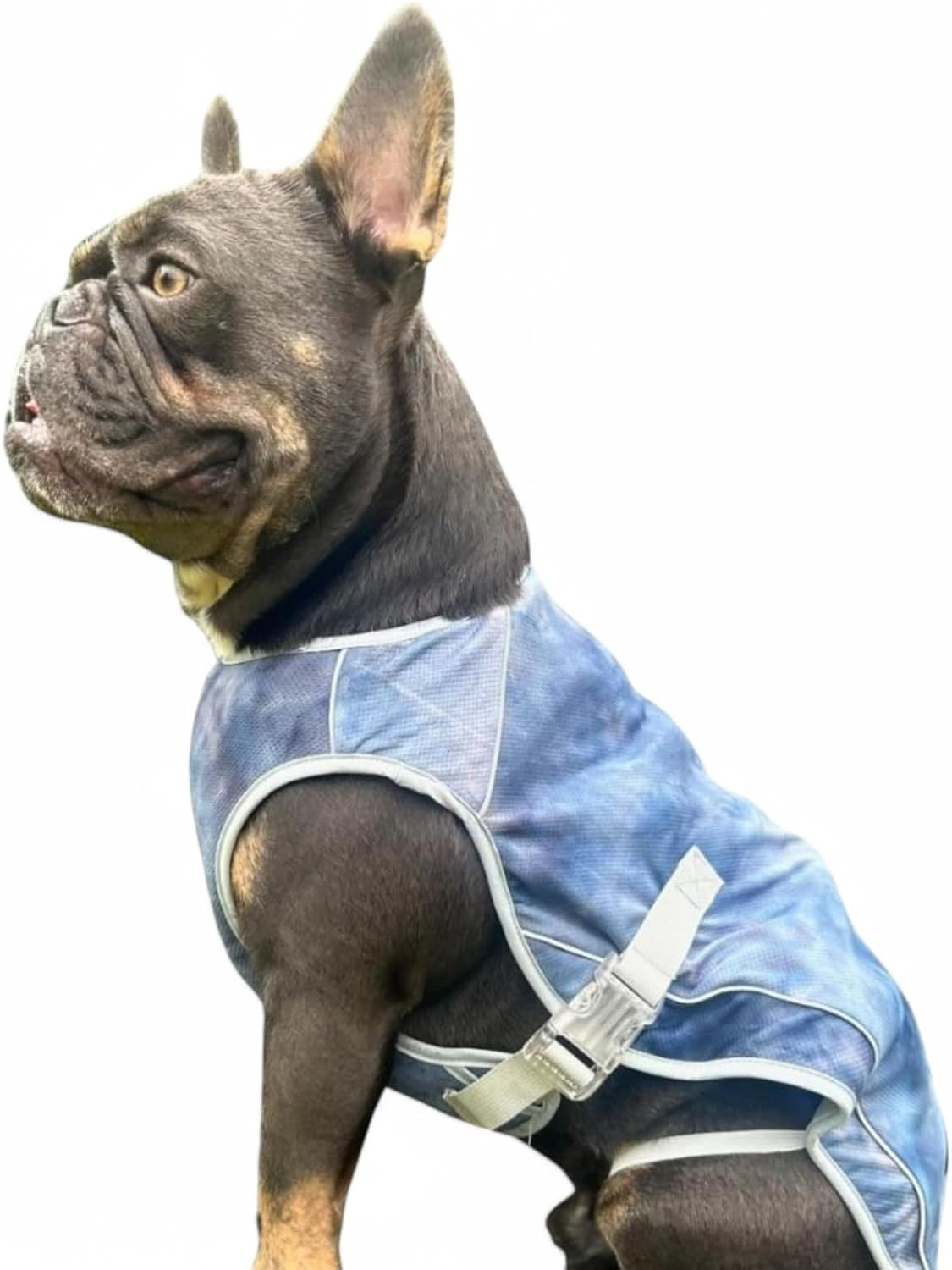 Spark Paws Chilltech&trade; Dog Cooling Vest - Cooling Effect - Lightweight Materials - SPF 50 UV Protection - Ice Blue, XL