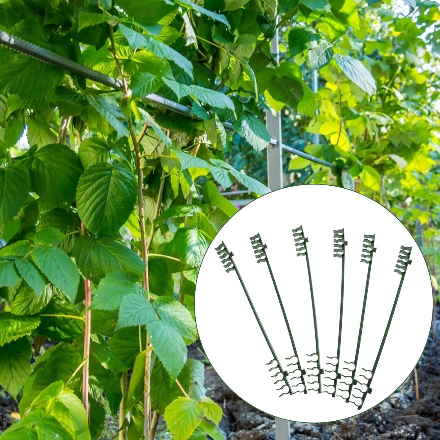FUTUREORYY 50Pcs Plant Support Connectors Garden Stake Trellis Connectors for Greenhouse Frame and Pipe Clamp Plant Trellis Gardening Fixing