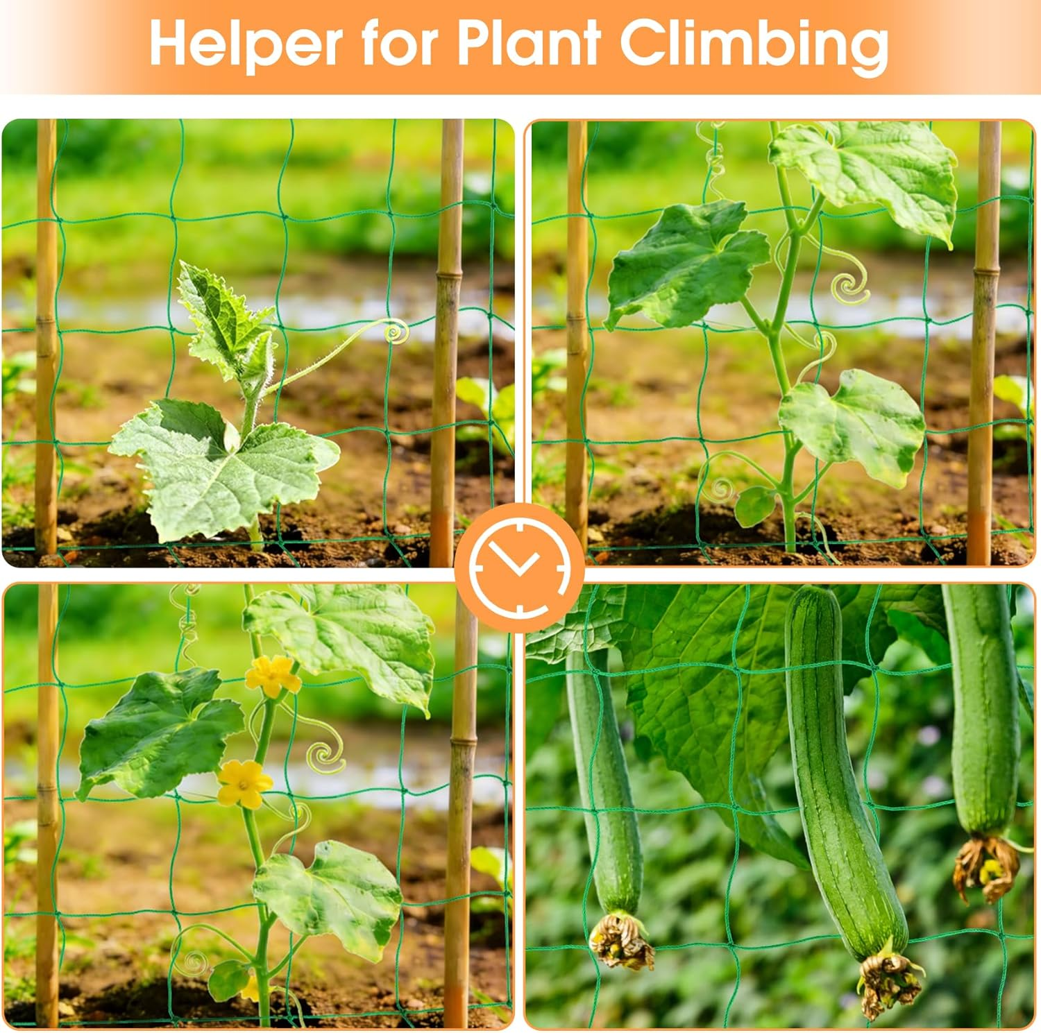 Trellis Net Cucumbers 5 X 1.8 M, Trellis Cucumbers with 50 Cable Ties, Climbing Plants, Tomatoes, Flowers and Other Vegetable Plants image number 6