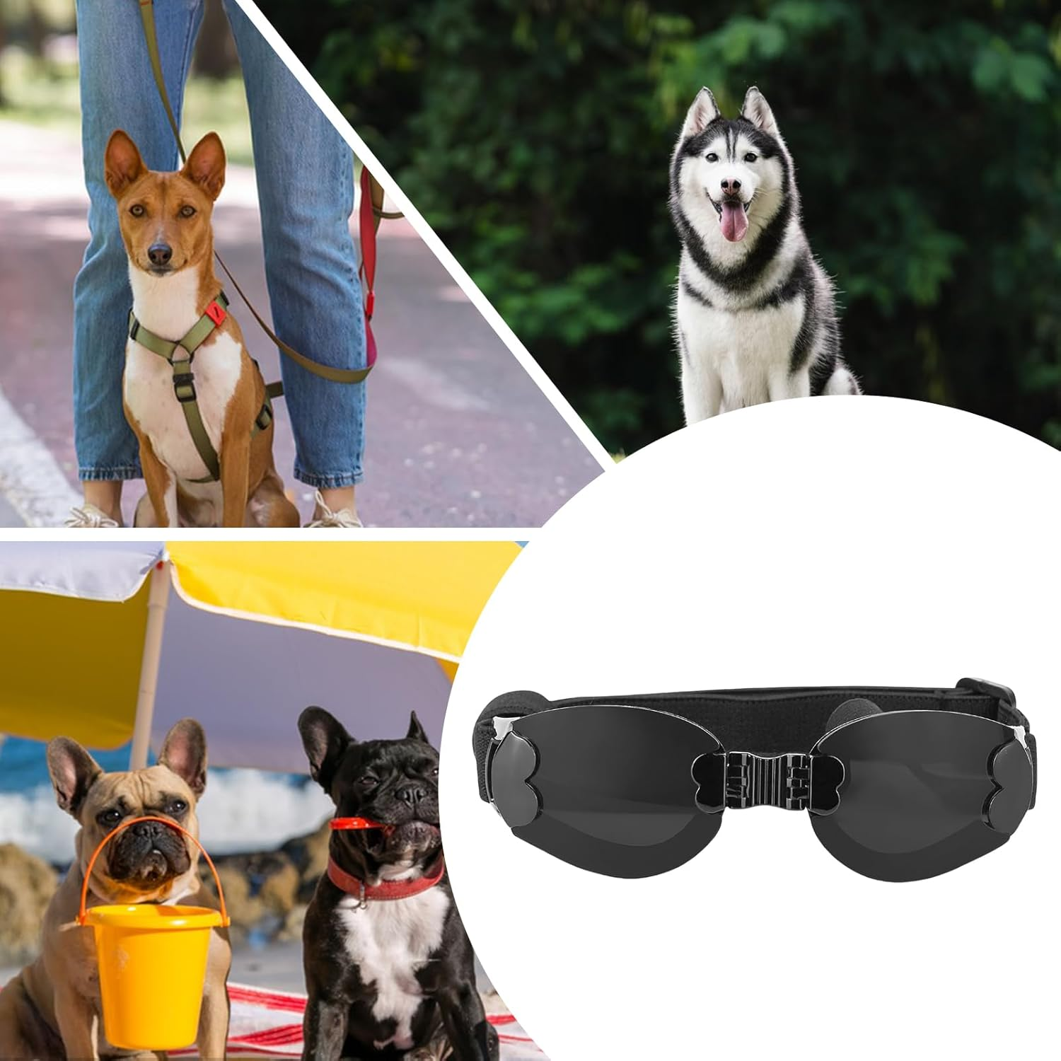 Goggles for Dogs Medium,Eye Protection Goggles for Pets | Adjustable Strap Foldable Pet Sunglasses for Plateau Cross-Country Running Skiing image number 4