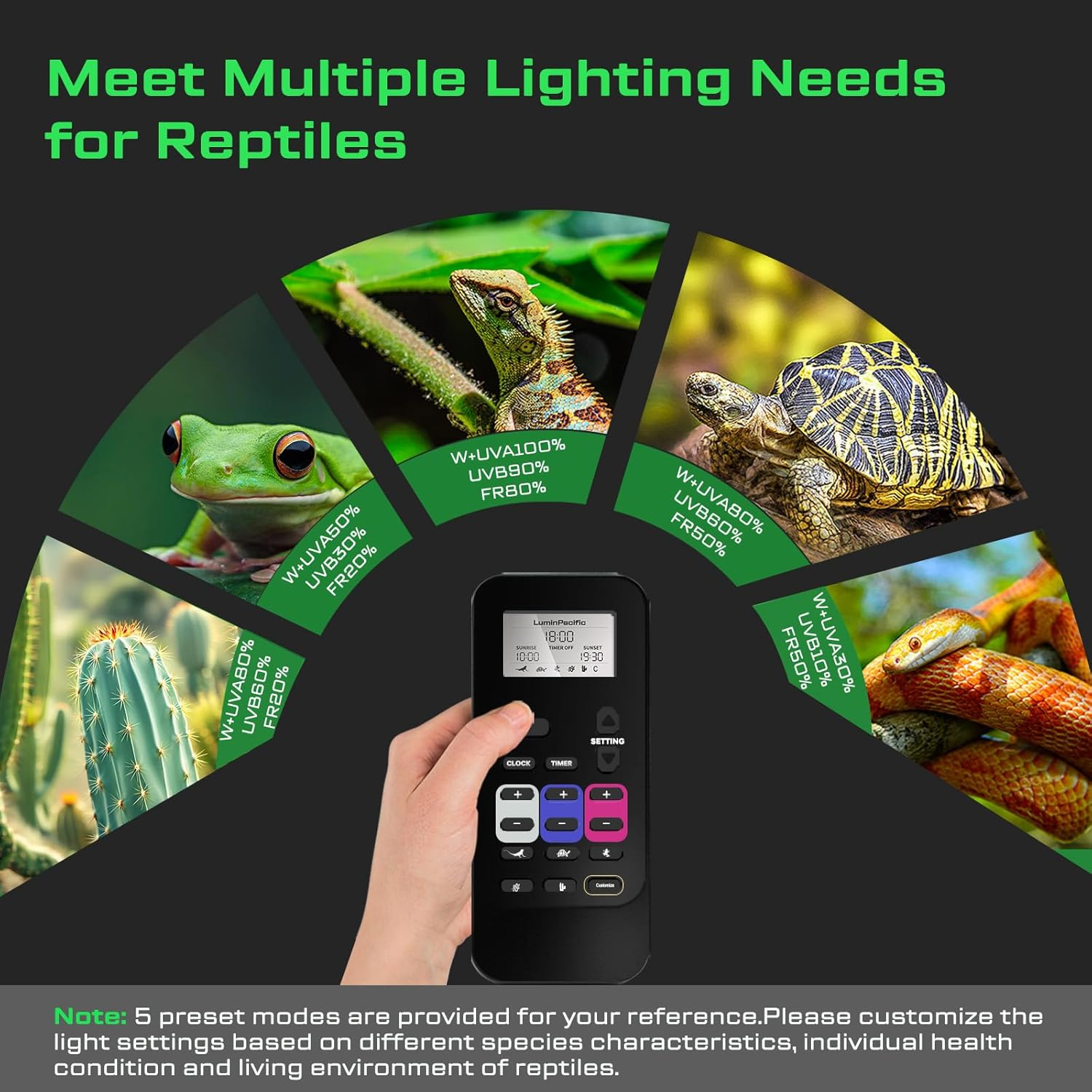 Luminpacific LED Reptiles Light with Remote, UVA UVB FR Lamp for Rainforest & Desert Reptiles, Ferguson Zones 1-4, Timer Switch, 10 Dimmable, for Bearded Dragon, Turtle, Frog, Snake, Plant (2 Pack) - 2 Pack image number 3