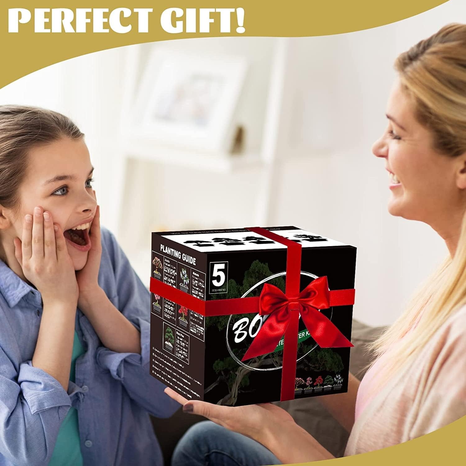 Meekear Bonsai Tree Kit with Complete Plant Growing Tools,Grow in Pot Indoor Bonsai Tree Starter Kit,Home Gardening DIY Gift for Adult (Growing into Acacia,Wisteria,Sakura,Red Maple,Black Pine),Green image number 5