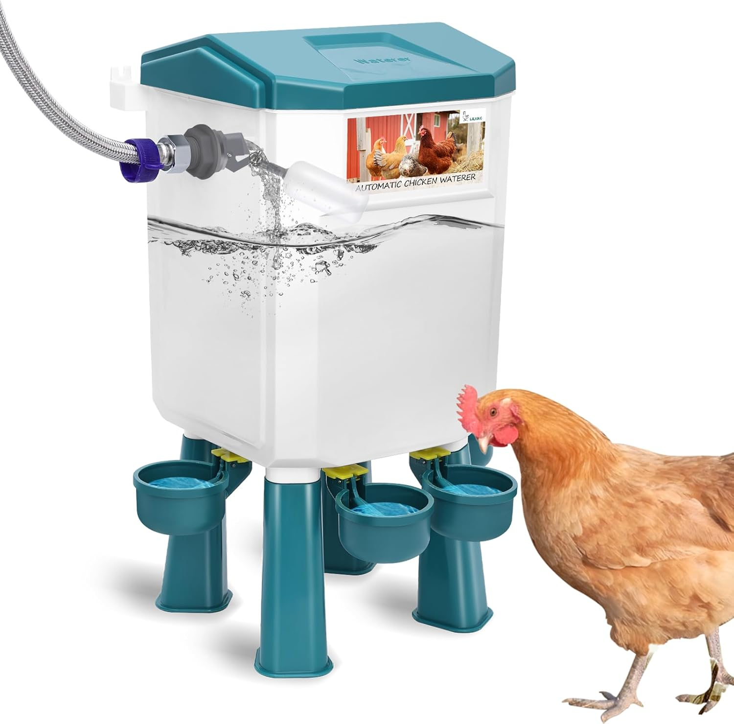 Lilyang Float-Controlled Automatic Chicken Waterer for Continuous Fresh Water, Self Filling Chicken Waterer with 60 Inch Water Hose (One End 3/4''), Suitable for Quail Duck Turkey image number 2