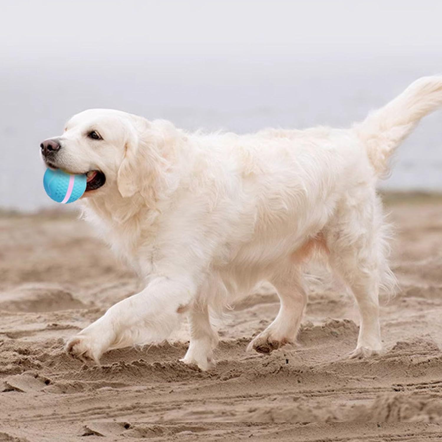 Smart Interactive Dog Ball Toy, Waterproof Motion Activated Automatic Rolling Ball Toy Pets Chew Toys, Electric Launcher Bouncing Busy Ball for Small Large Dog Pet image number 6