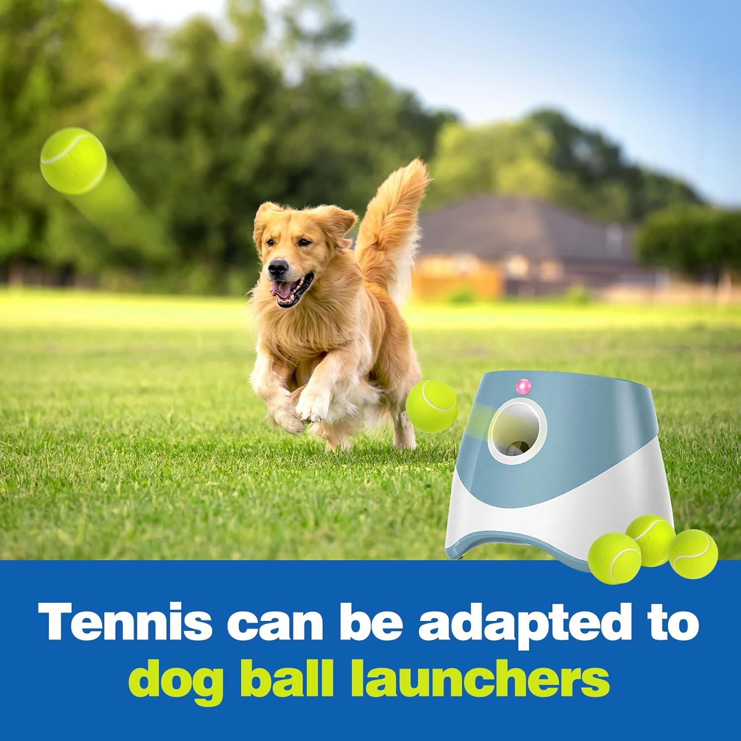 12 Pack Tennis Balls for Dogs, 2-Inch Size, Compatible with Most Automatic Ball Launchers, Exercise Playing Balls for Pet Dog image number 1