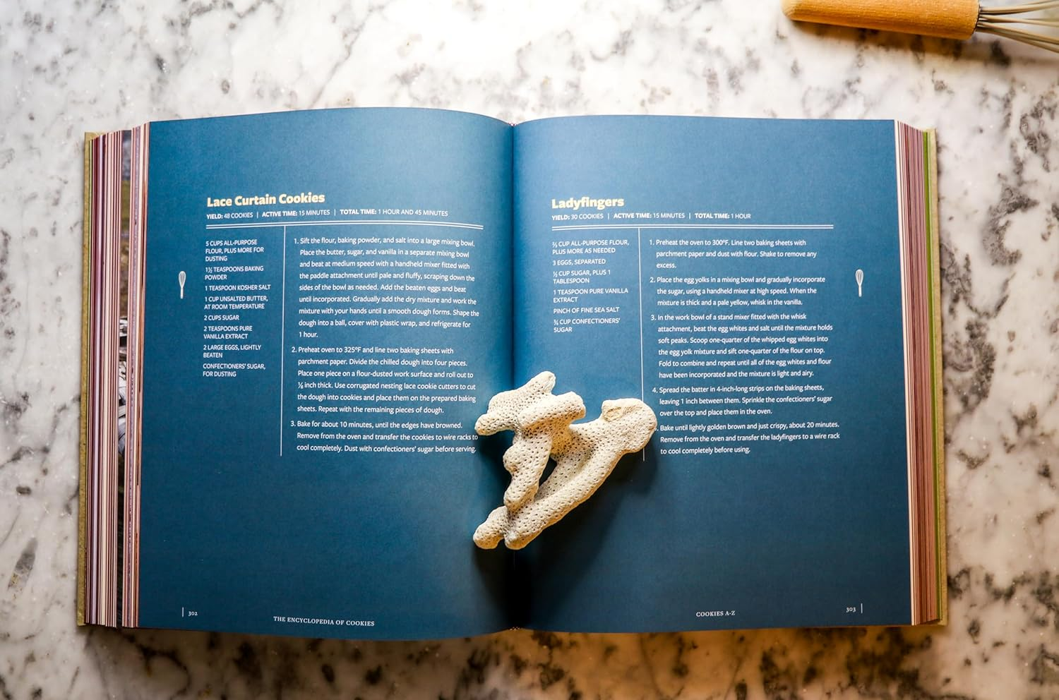 The Encyclopedia of Cookies: over 500 Tasty Recipes for Cookie Lovers of All Ages image number 2