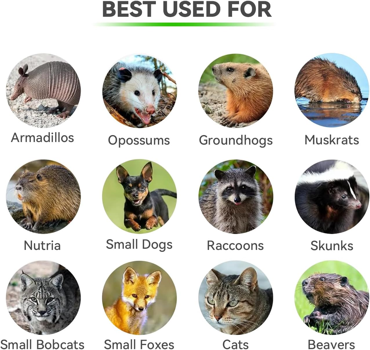 Live Animal Cage Trap, 78X30X29Cm Heavy Duty Folding Raccoon Traps, Humane Cat Trap for Stray Cats, Raccoons, Squirrel, Skunk, Mole, Groundhog, Armadillo, Rabbit, Catch and Release image number 5