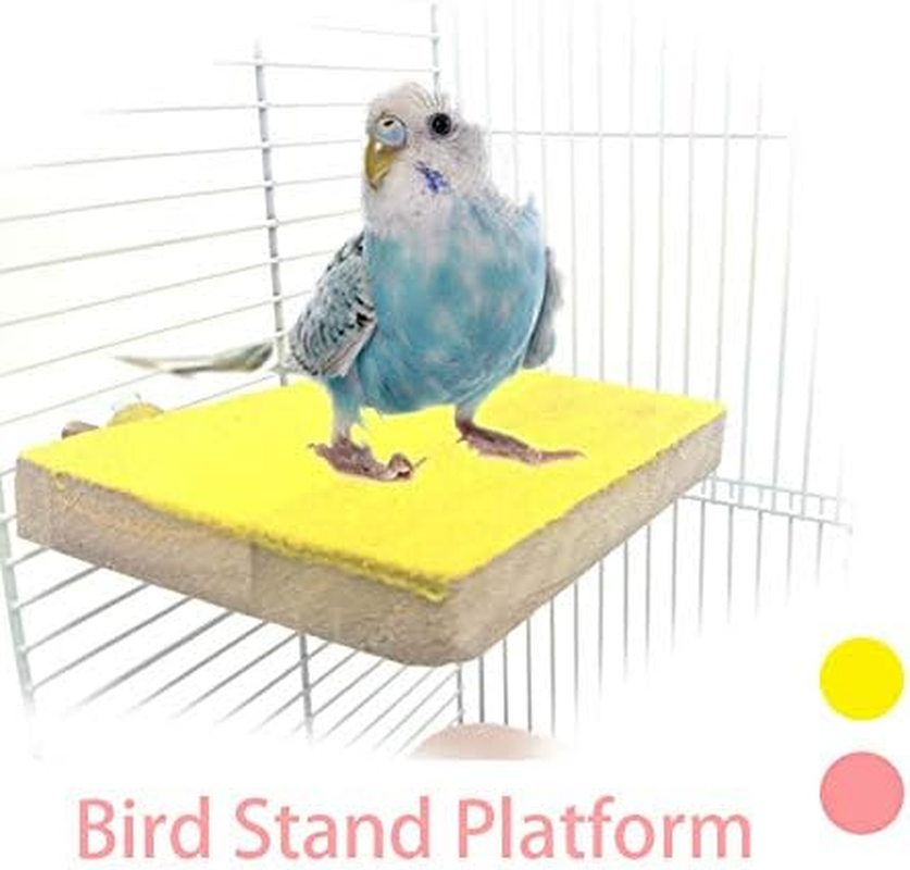 Tooloflife Bird Perch Stand Platform Toy, Natural Wood Playground Paw Grinding for Toys Parrot Parakeet Chew Toy 5PCS image number 3