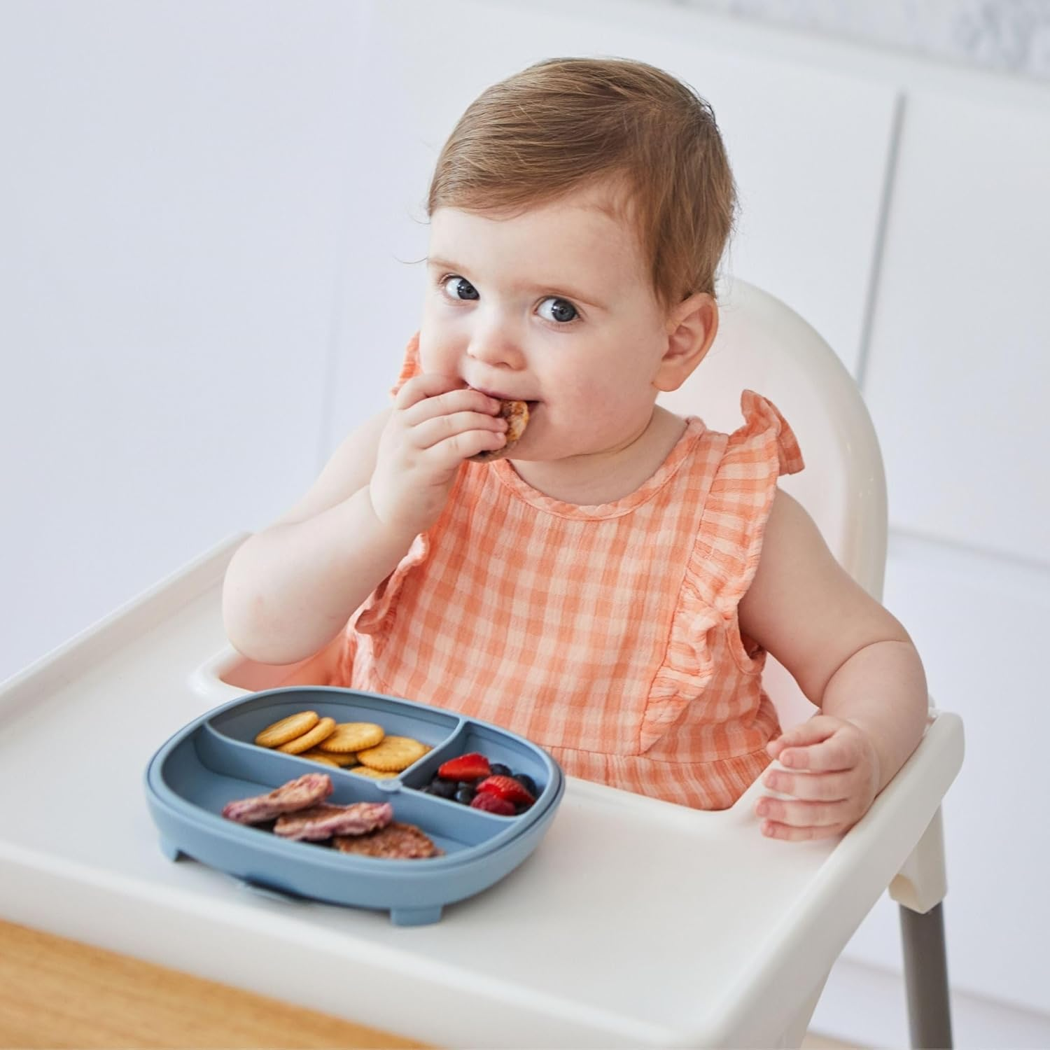 B.Box 2 in 1 Suction Plate Suction Plate Blush Brush