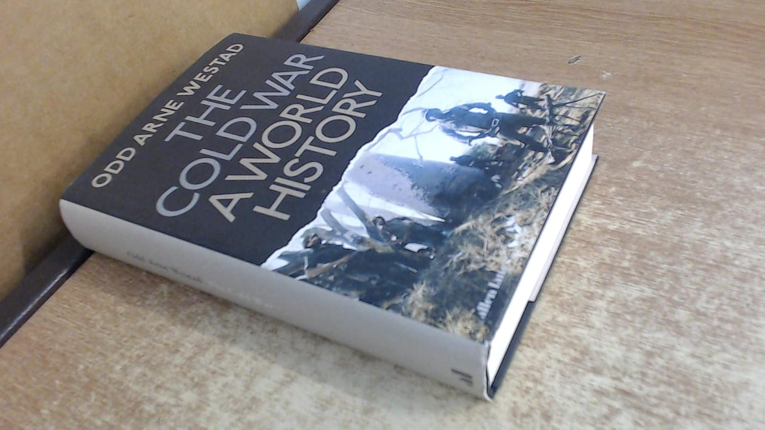 The Cold War: a World History image number 1