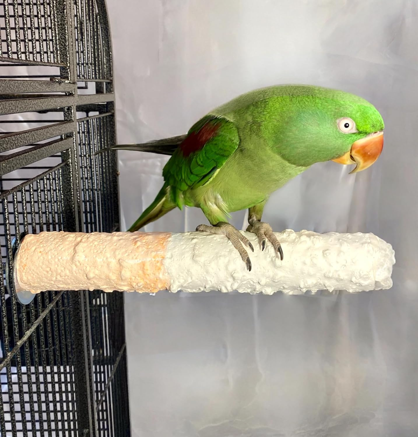 Polly'S Bird Perch, Large image number 2