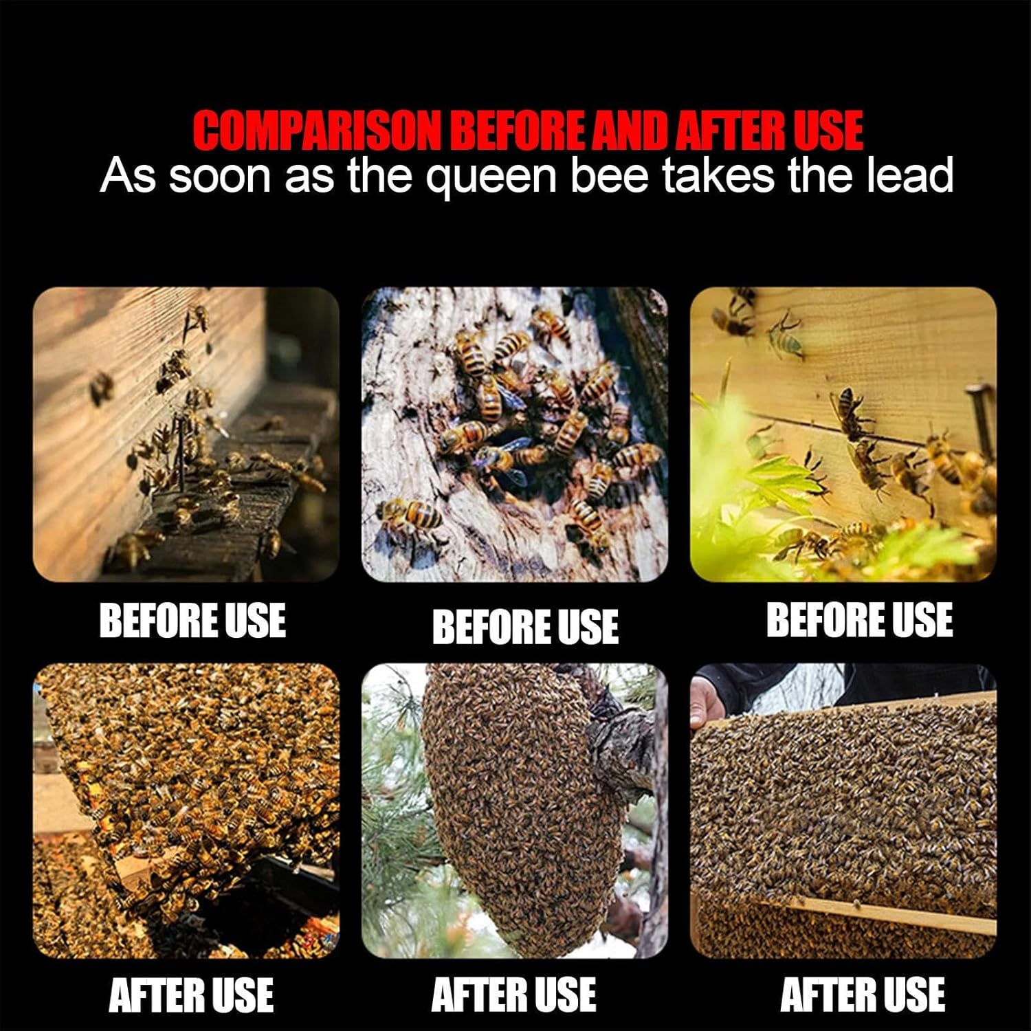 Bee Spray Attract - Garden Bee Lure, Pollination Spray Formula | 1.57X1.57X5.91 Inches Natural Bee Drawing Solution, Extended Attraction Duration, Beekeeping Tool with Hive Setup image number 6