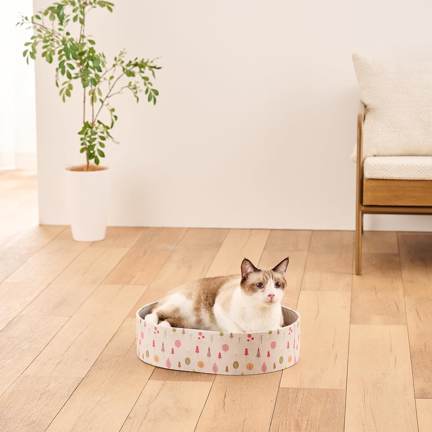 Cat Tree Cat Cat Forest image number 3