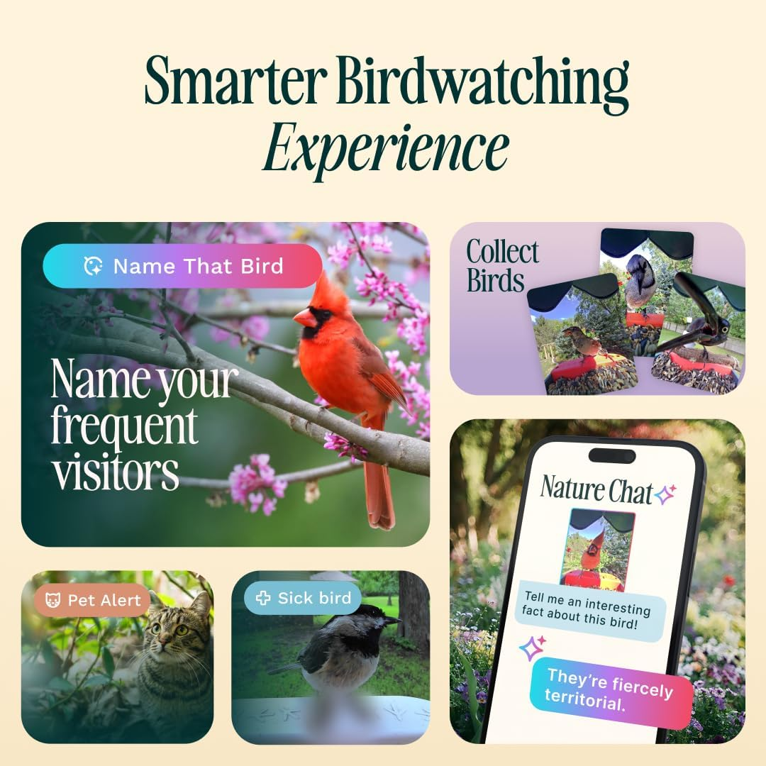 Bird Buddy Non Solar Smart Bird Feeder with Camera - Ai Bird Species Identification, 5Mp Photos, 2K Hd Video Live Stream Camera, Battery-Powered Charging, 2.8In Focus - Blue image number 4